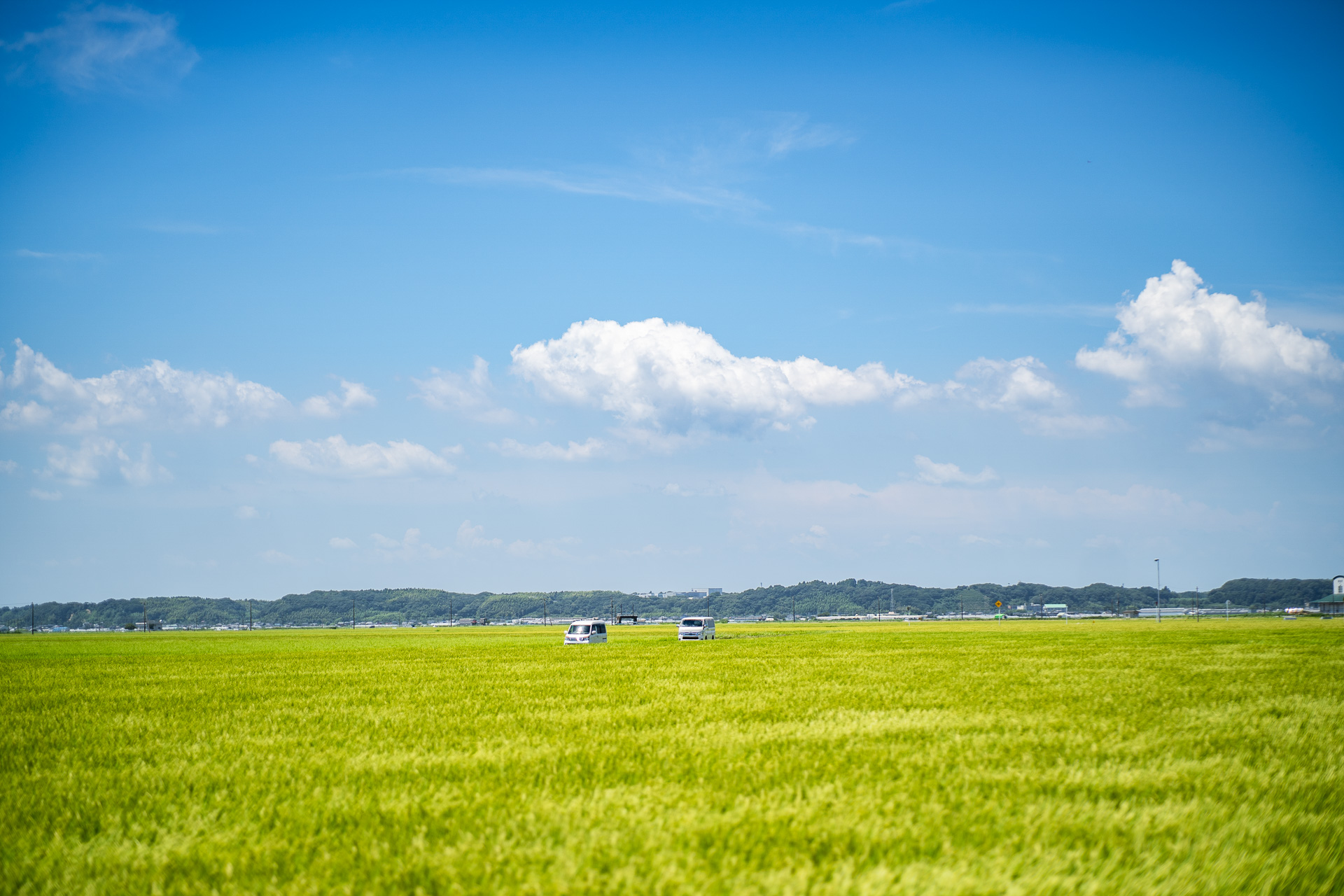 ここは千葉県旭市。東総広域農道です。千葉県は結構な稲作地帯なんですがなかでもここは、ひろ〜い圃場が広がっていて抜けのいい景色が楽しめるんです。まるで北海道のような。どこまでもまっすぐな道が田んぼの緑を貫くような風景に出会えます。緑の絨毯の中をゆったり泳ぐように車が行き交うさまは、ひととき現実と日差しの熱さを忘れさせてくれます。星も綺麗に見えるところですが、夏は天の川ですね。そして未明に霧が発生することも多いのですが、視界を埋め尽くす濃い夜霧の上に天の川が揺蕩う姿は、それはもう幻想的。僕は何度もそんな天の川を楽しみましたが、なかなか写真じゃ伝わらないんですよねえ。ぜひ、1度見に来てみてください