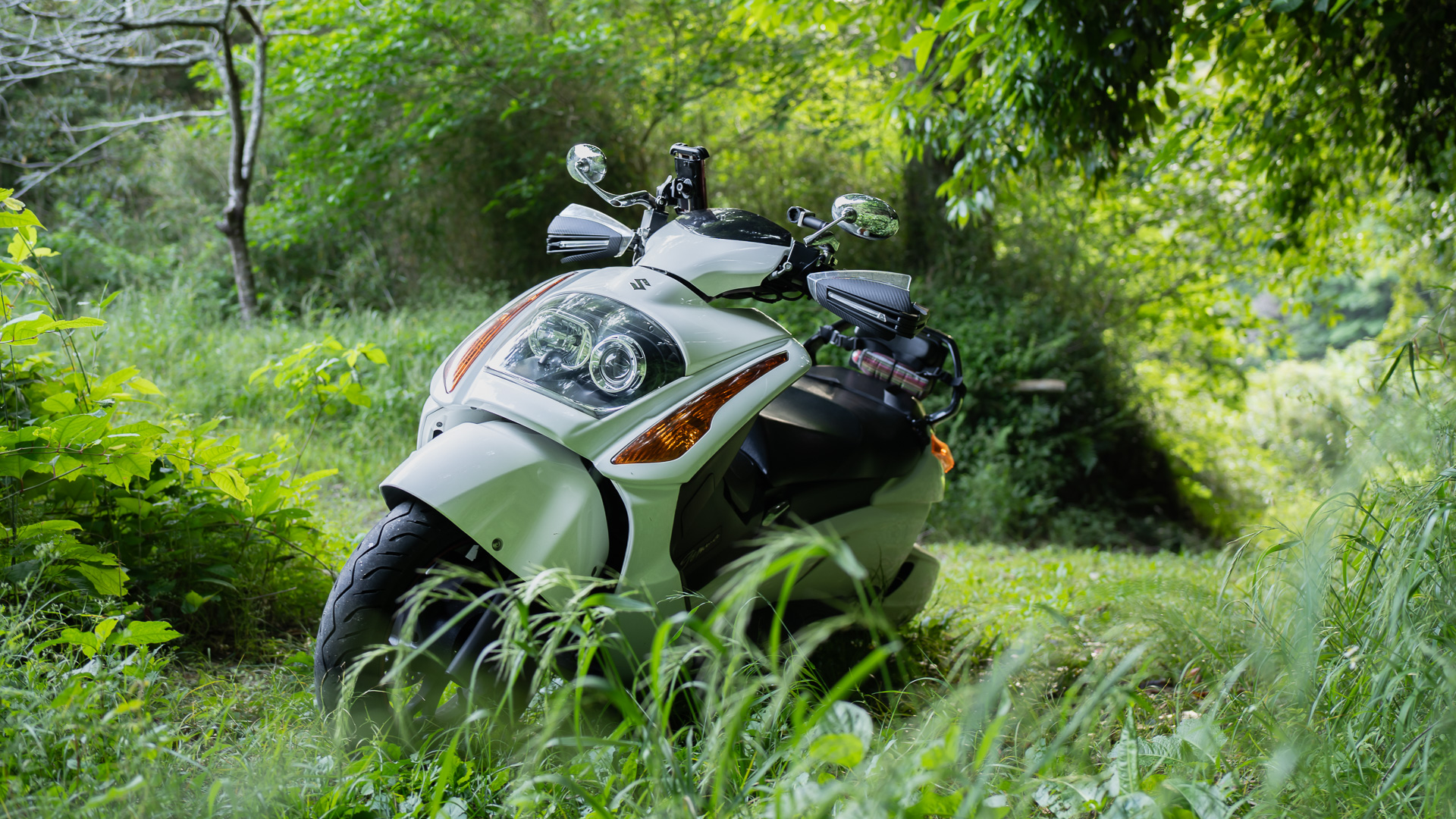 アーバンコミューターと分類されているが自然の中でもよく映える。バイクが持つ自由さというイメージがそう感じさせるのだろう