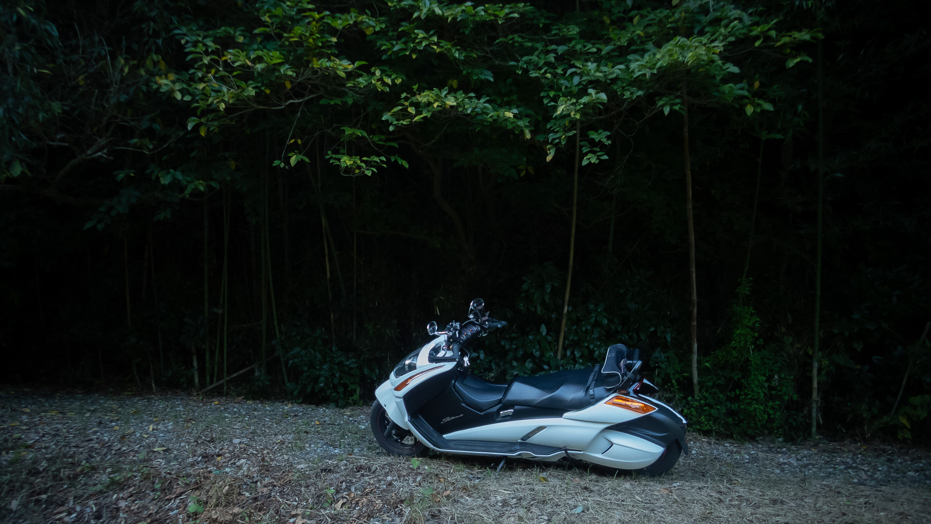 ロー＆ロングなフォルムがよくわかるカット。三脚をリアシートにくくり付けているのだが、デザイン優先で収納が少ないのが玉にキズ