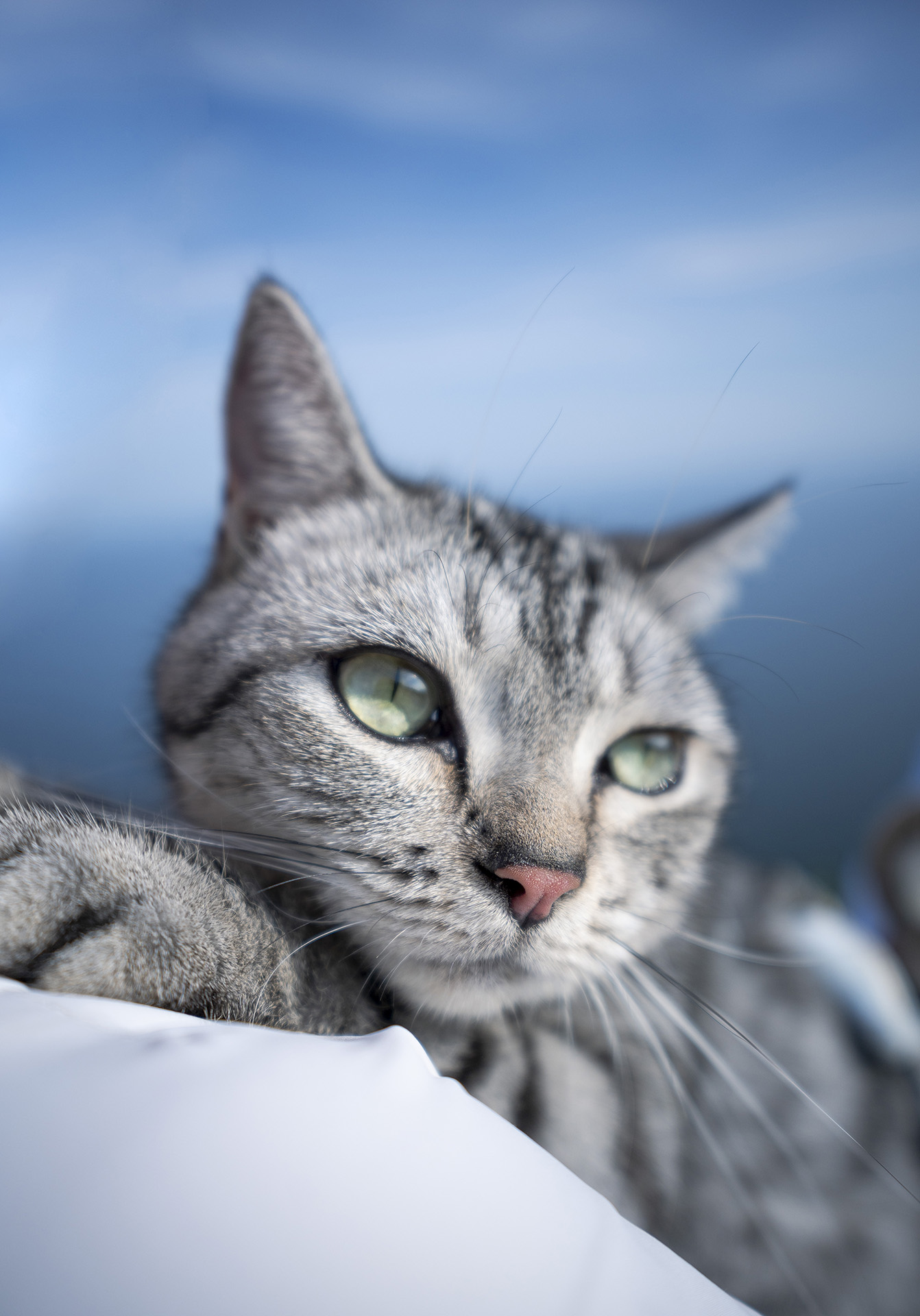 撮影サンプル（提供：映像嵐株式会社）