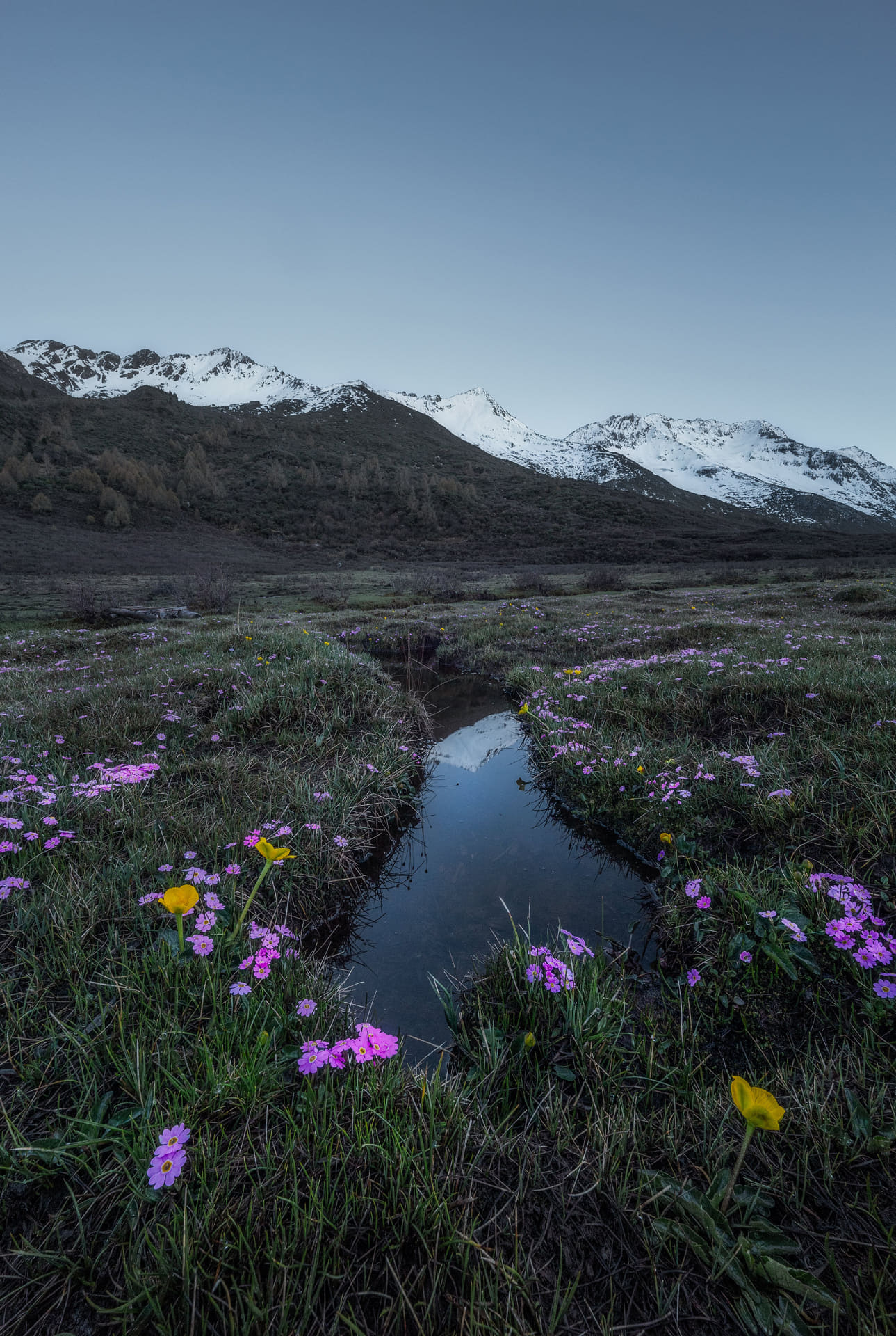 提供：株式会社サイトロンジャパン