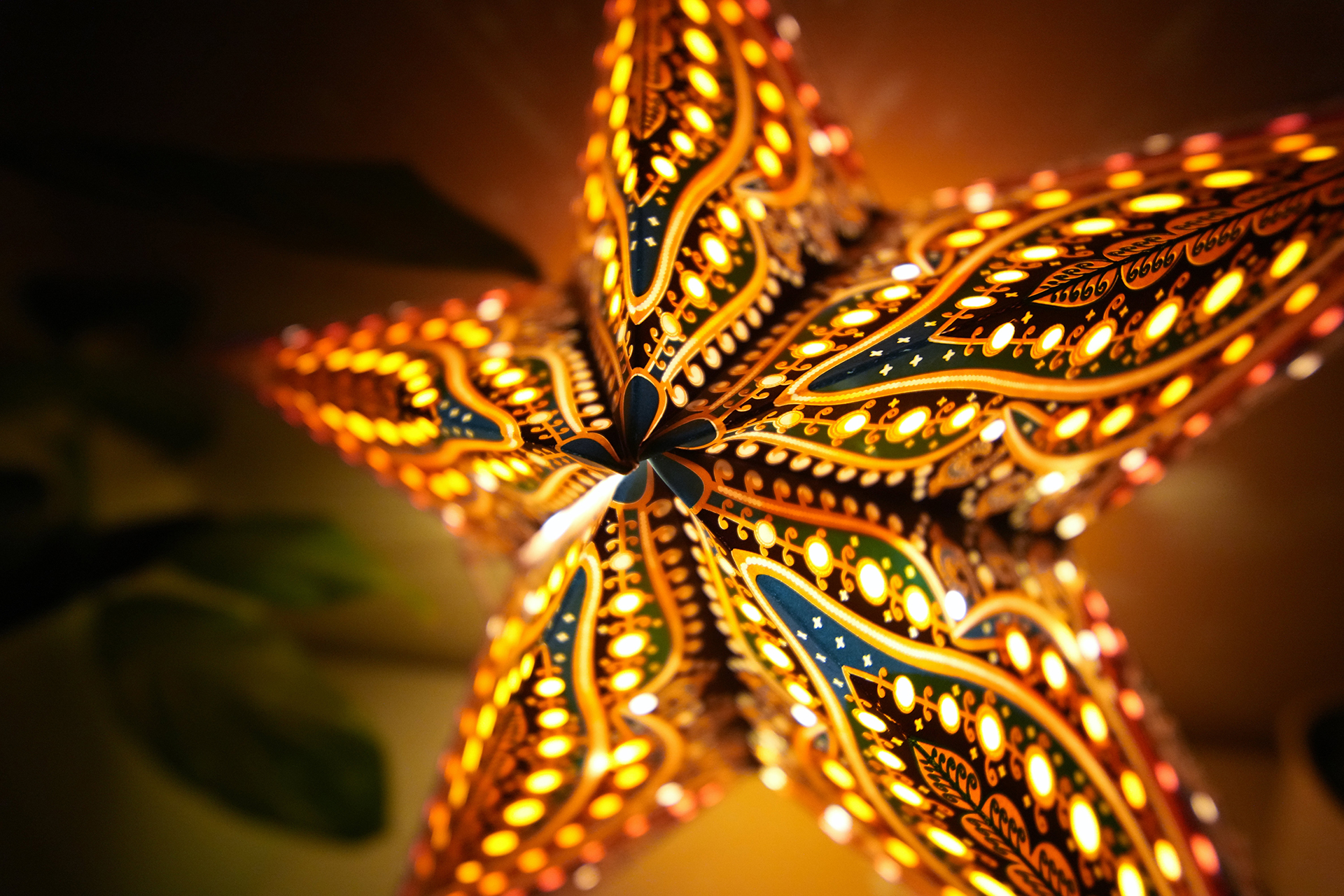 提供：株式会社サイトロンジャパン