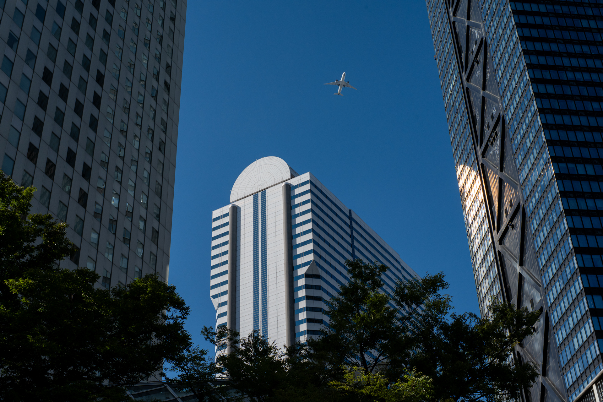 東京の空を旅客機が飛んでいても誰も見向きもしませんが、筆者はいまだについ撮影しちゃうわけです。この時期にしてはヌケのいい描写です。<br><span class="fnt-85">ニコン Z5II／SONY 50mm F1.4／50mm／マニュアル露出（1/1,250秒、F11）／ISO 400</span>