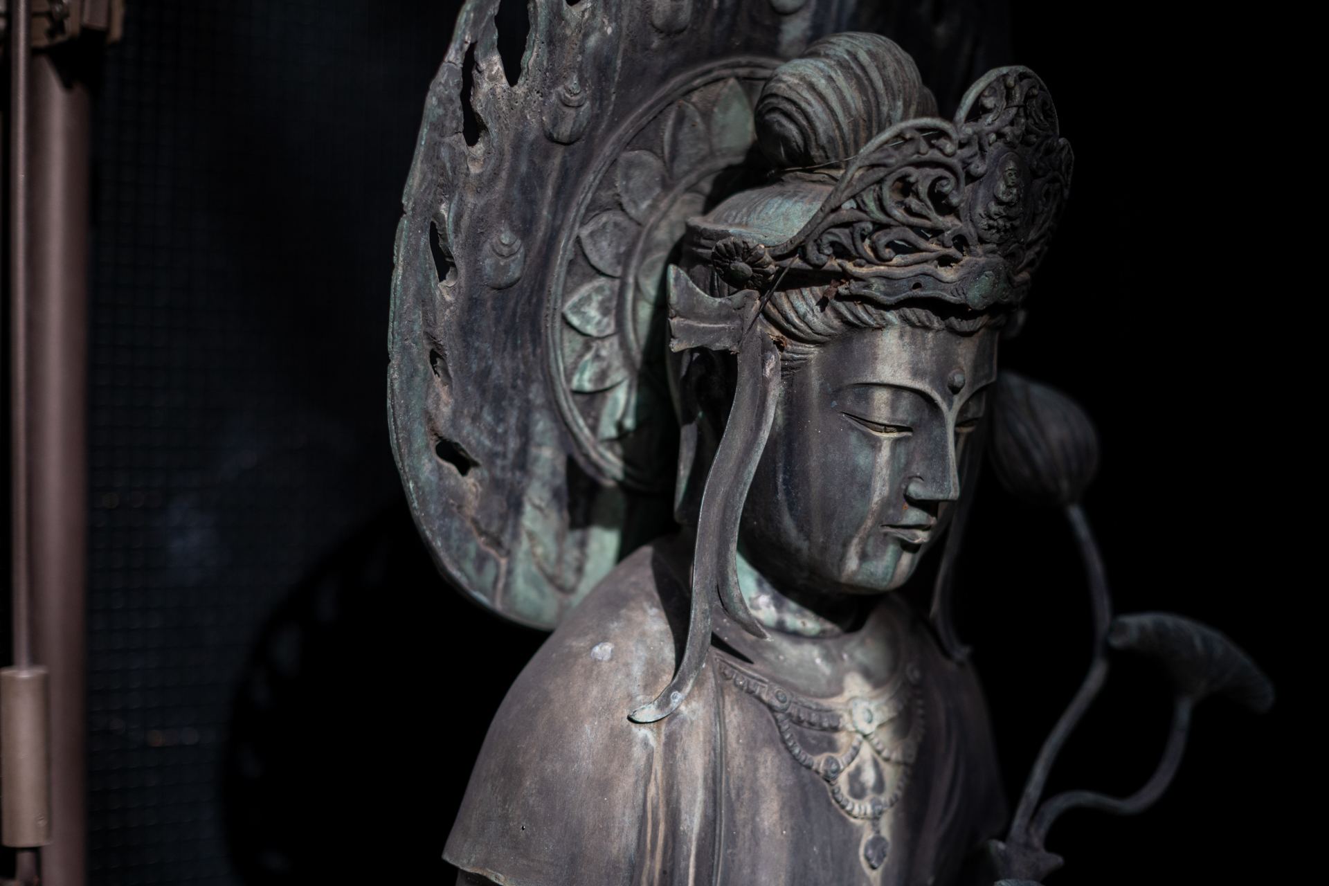 これも明暗差の大きな条件ですが、良い感じの再現です。フォーカスは何も言わなくても目玉に合いました。<br><span class="fnt-85">ニコン Z5II／SONY 50mm F1.4／50mm／絞り優先AE（1/8,000秒、F2.0、−1.3EV）／ISO 400</span>