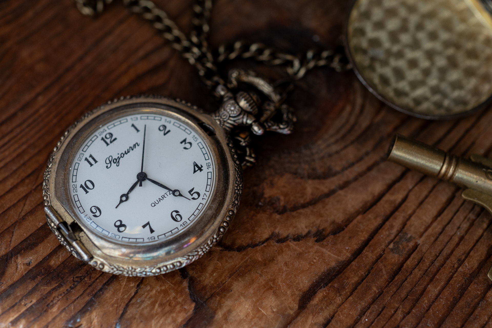 昭和時代のカメラカタログの作例みたいですが、筆者もレンズも昭和なのでこれでいいわけです。スッとストレスなく合焦しました。Z5IIは偉いですよね。<br><span class="fnt-85">ニコン Z5II／MINOLTA AF MACRO 50mm F2.8／50mm／絞り優先AE（1/80秒、F4.0、−0.7EV）／ISO 800</span>