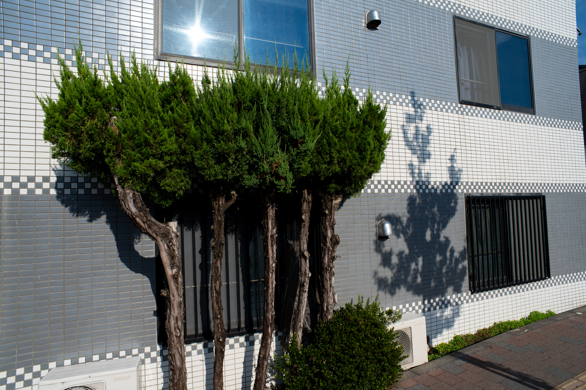 明暗差が大きいのでうまく再現するかなあと心配でしたが、なんのことはなく見た目に近い感じで写りました。素晴らしいですね。<br><span class="fnt-85">ニコン Z5II／MINOLTA AF 20mm F2.8／20mm／絞り優先AE（1/400秒、F11、−0.7EV）／ISO 200</span>