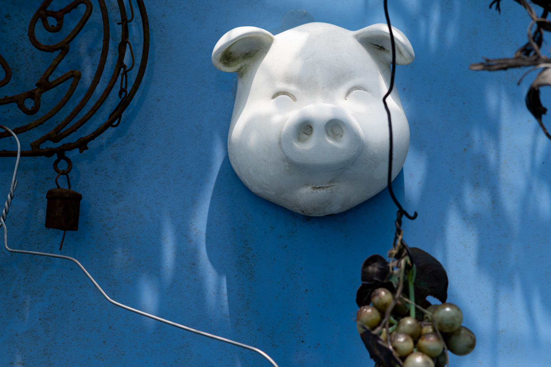 ブタのオブジェの目玉に自然に合焦しました。自分の意図を見抜かれているが如くで悔しいです。<br><span class="fnt-85">ニコン Z5II／SONY 85mm F2.8 SAM／85mm／絞り優先AE（1/100秒、F5.6、−0.3EV）／ISO 100</span>