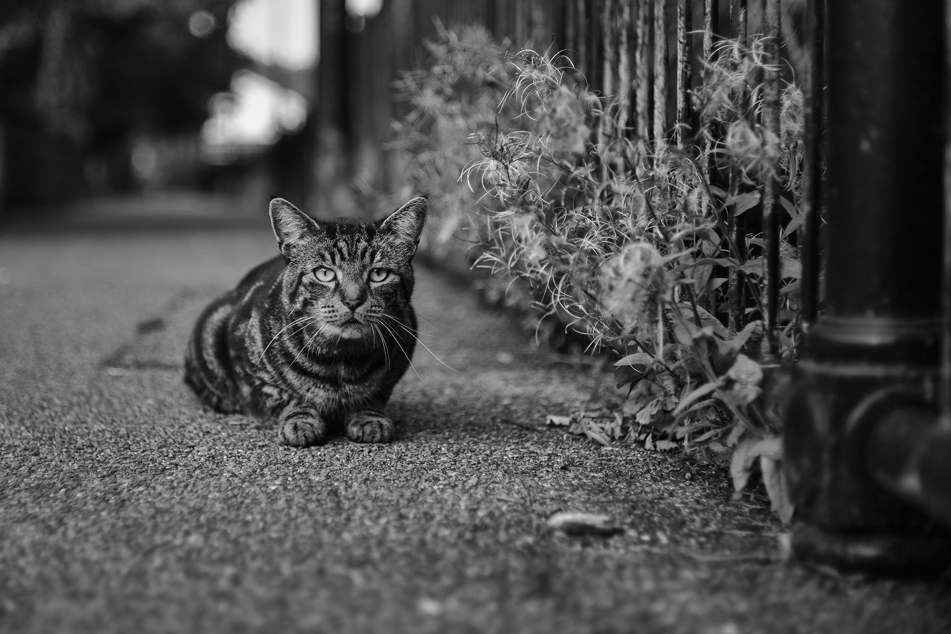 作例提供：株式会社焦点工房