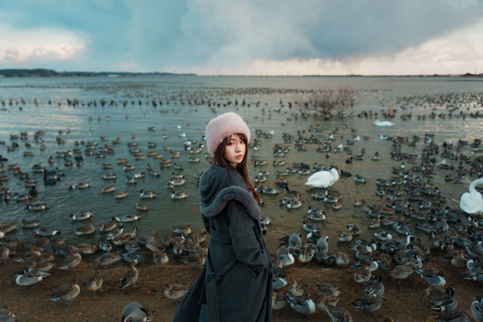 提供：株式会社レイクプラッツ