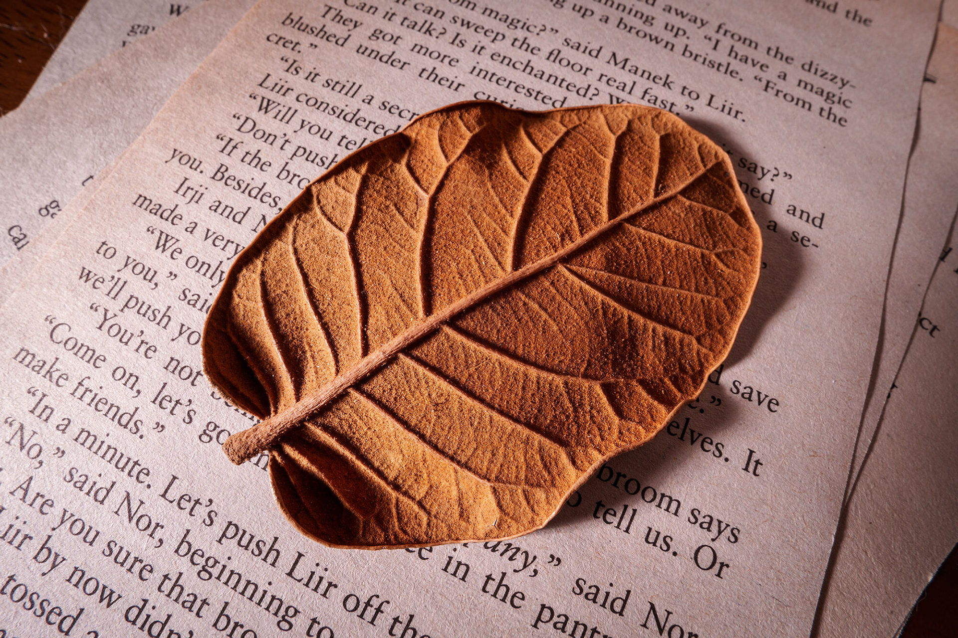 作例提供：株式会社ケンコー・トキナー