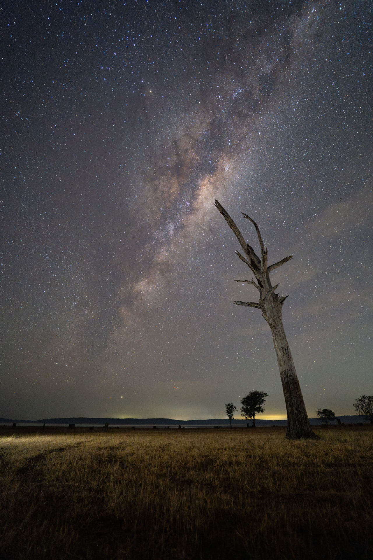 作例提供：株式会社ケンコー・トキナー