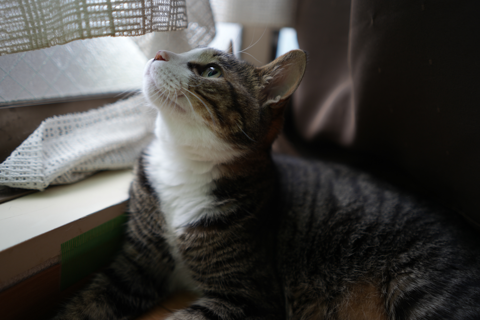 ソニー α7R V／FE 28mm F2／絞り優先AE（1/50秒、F2.0、−0.7EV）／ISO 100