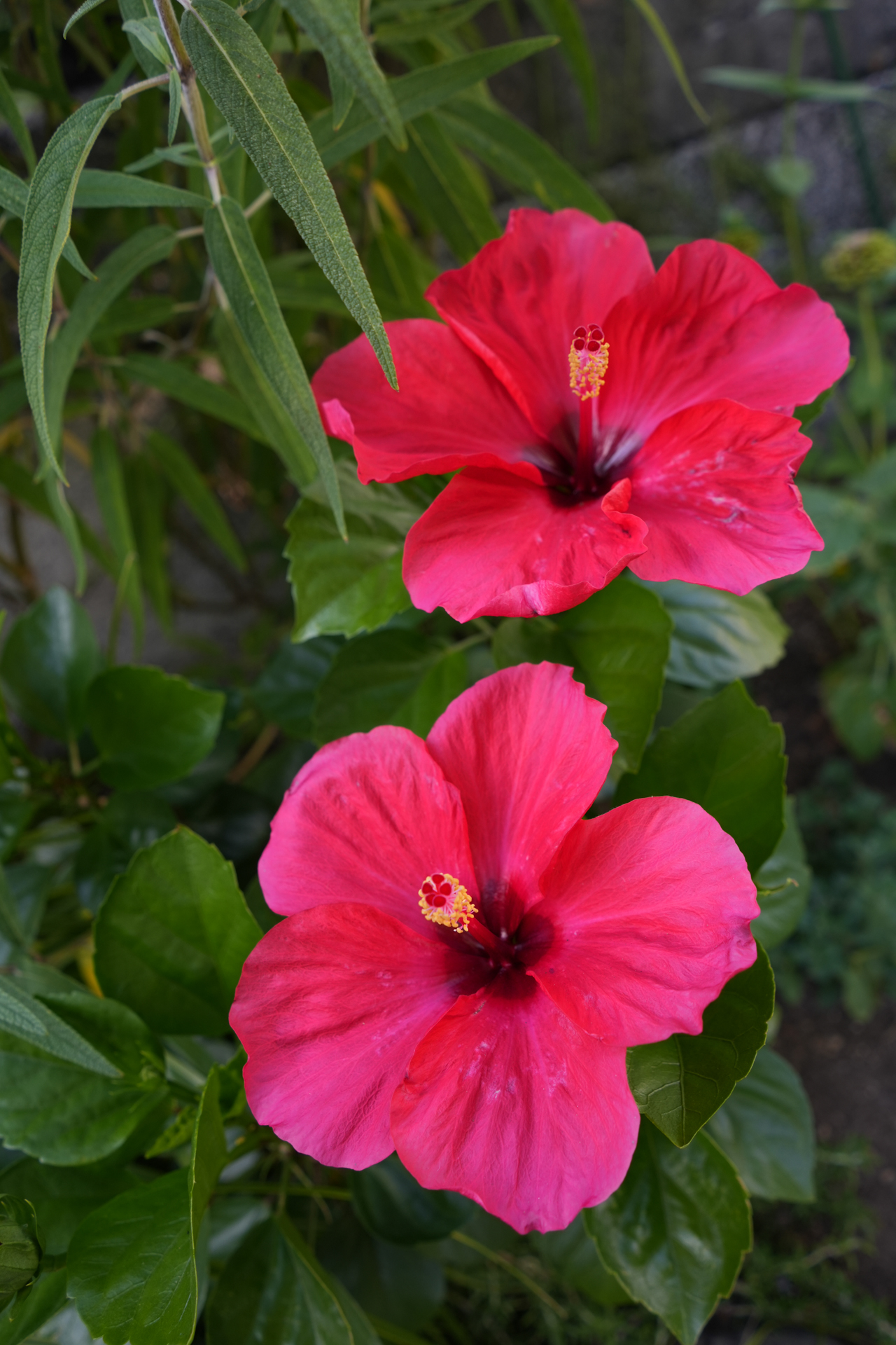 ソニー α7C II／FE 28mm F2／絞り優先AE（1/80秒、F5.0、−0.3EV）／ISO 400