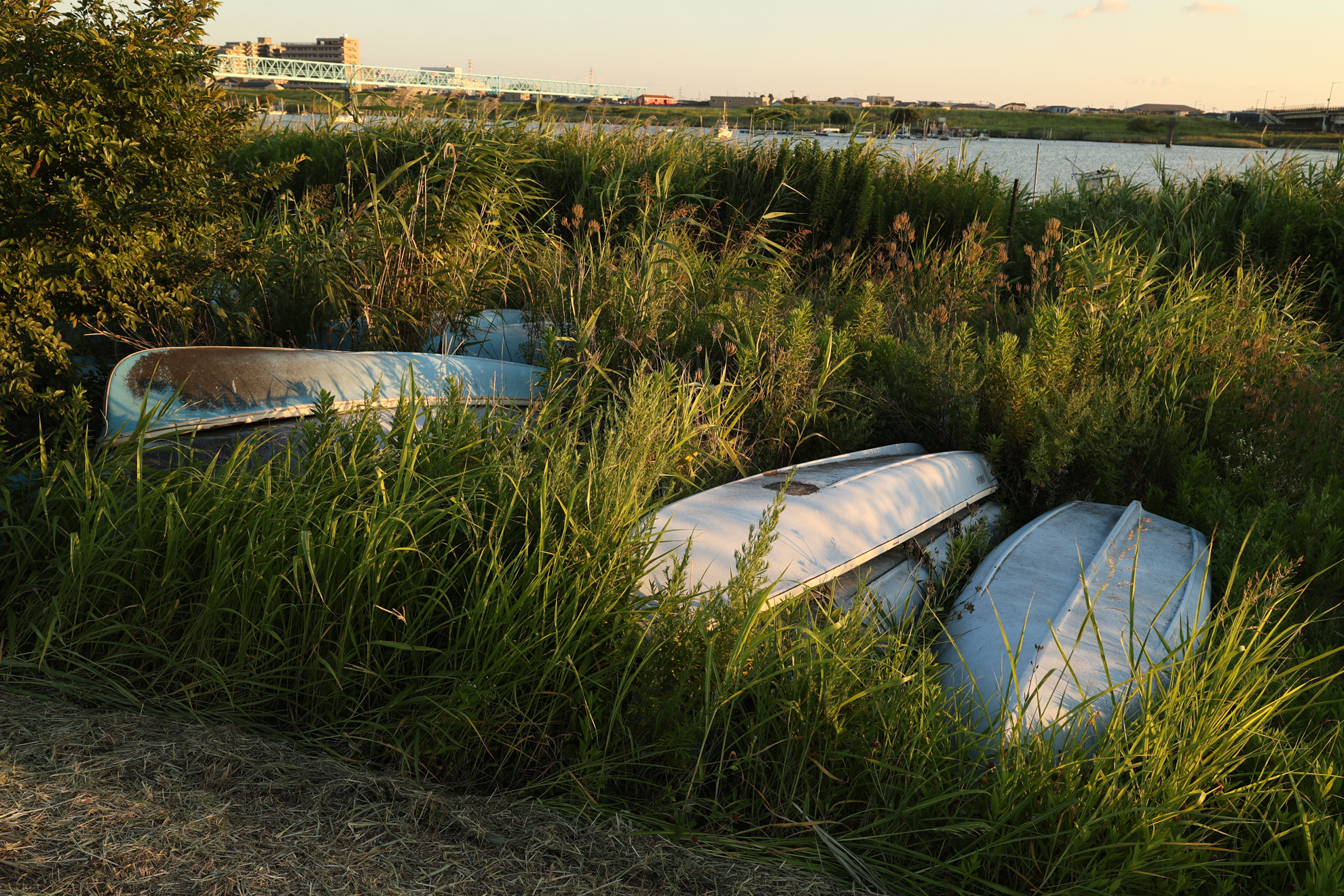 キヤノン EOS R8／RF28mm F2.8 STM／絞り優先AE（1/125秒、F5.6、−1EV）／ISO 100