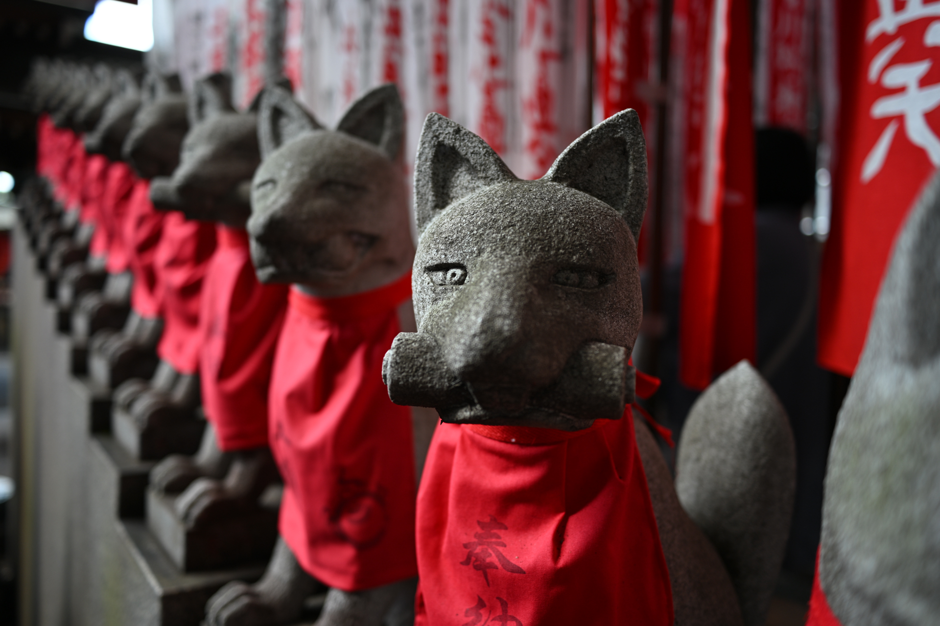 ニコン Z6III／NIKKOR Z 28mm f/2.8／絞り優先AE（1/200秒、F2.8、−0.3EV）／ISO 100