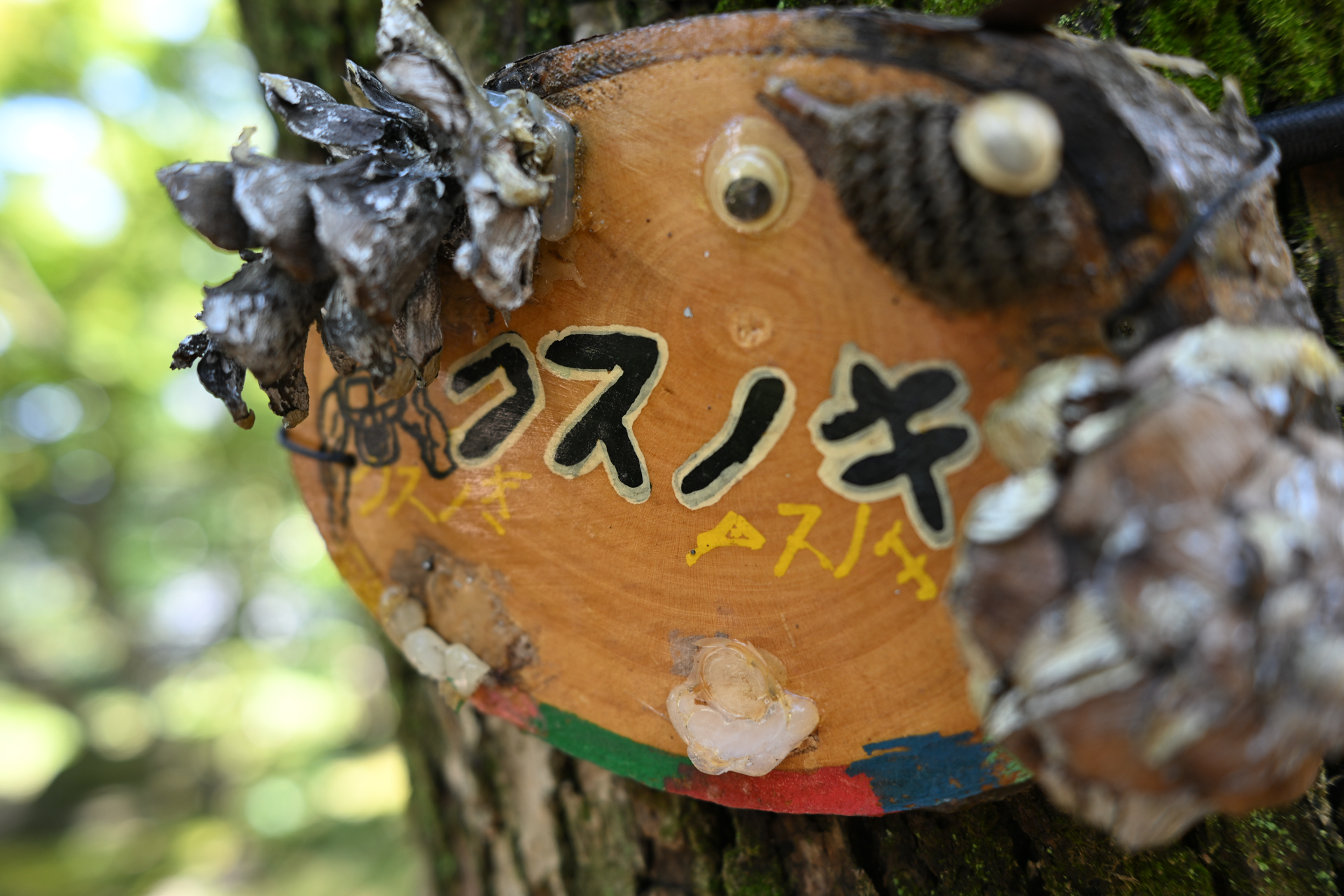 ニコン Z6III／NIKKOR Z 28mm f/2.8／絞り優先AE（1/50秒、F4.0、＋0.3EV）／ISO 100