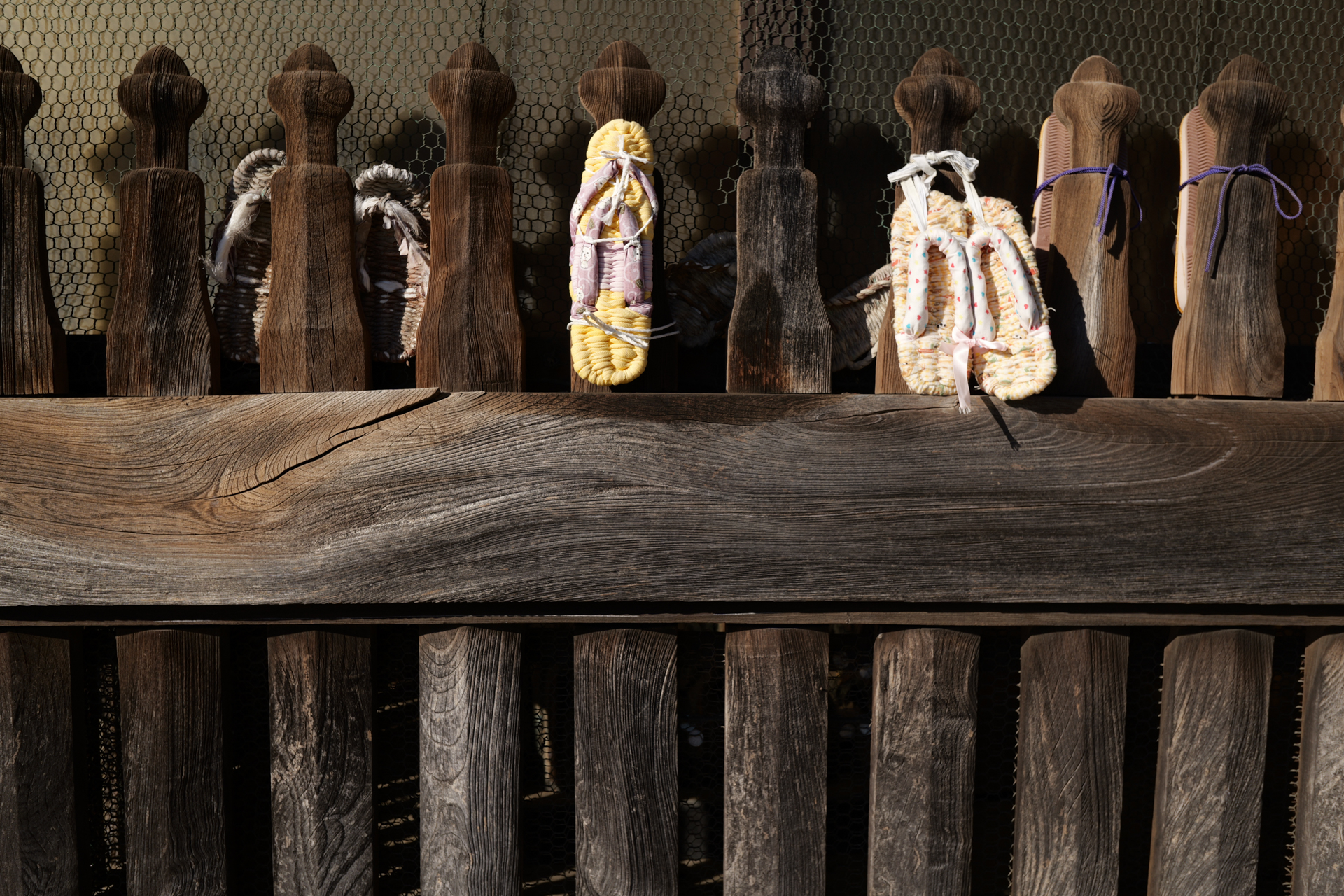 パナソニック LUMIX S9／LUMIX S 26mm F8／プログラムAE（1/200秒、F8.0、−0.7EV）／ISO 100