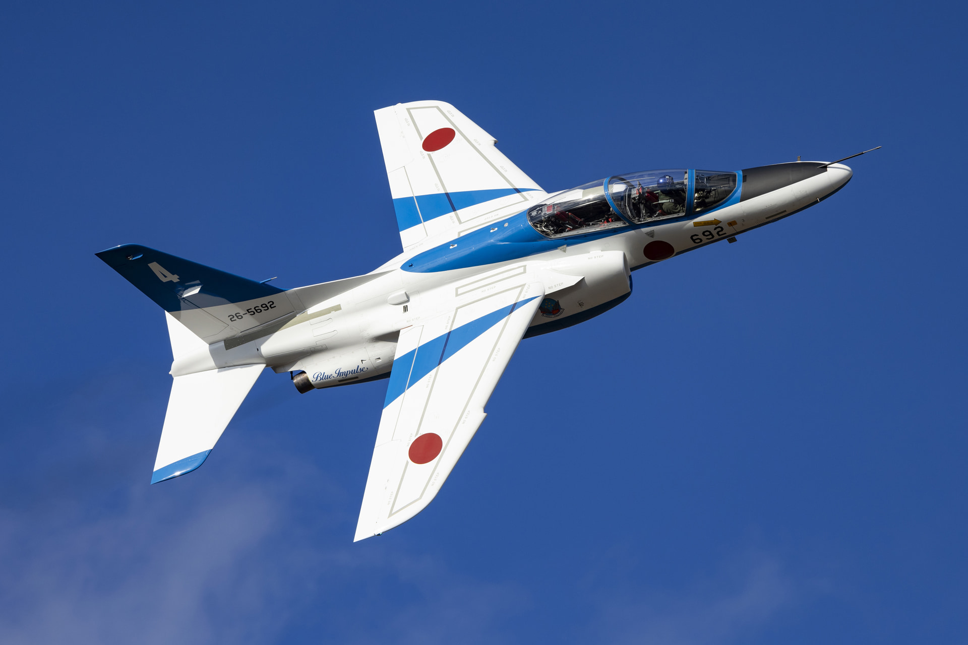 <span class="fnt-85">キヤノン EOS R6 Mark II／RF100-500mm F4.5-7.1 L IS USM／500mm／マニュアル露出（F8、1/2,500秒）／ISO 500／WB：オート</span>