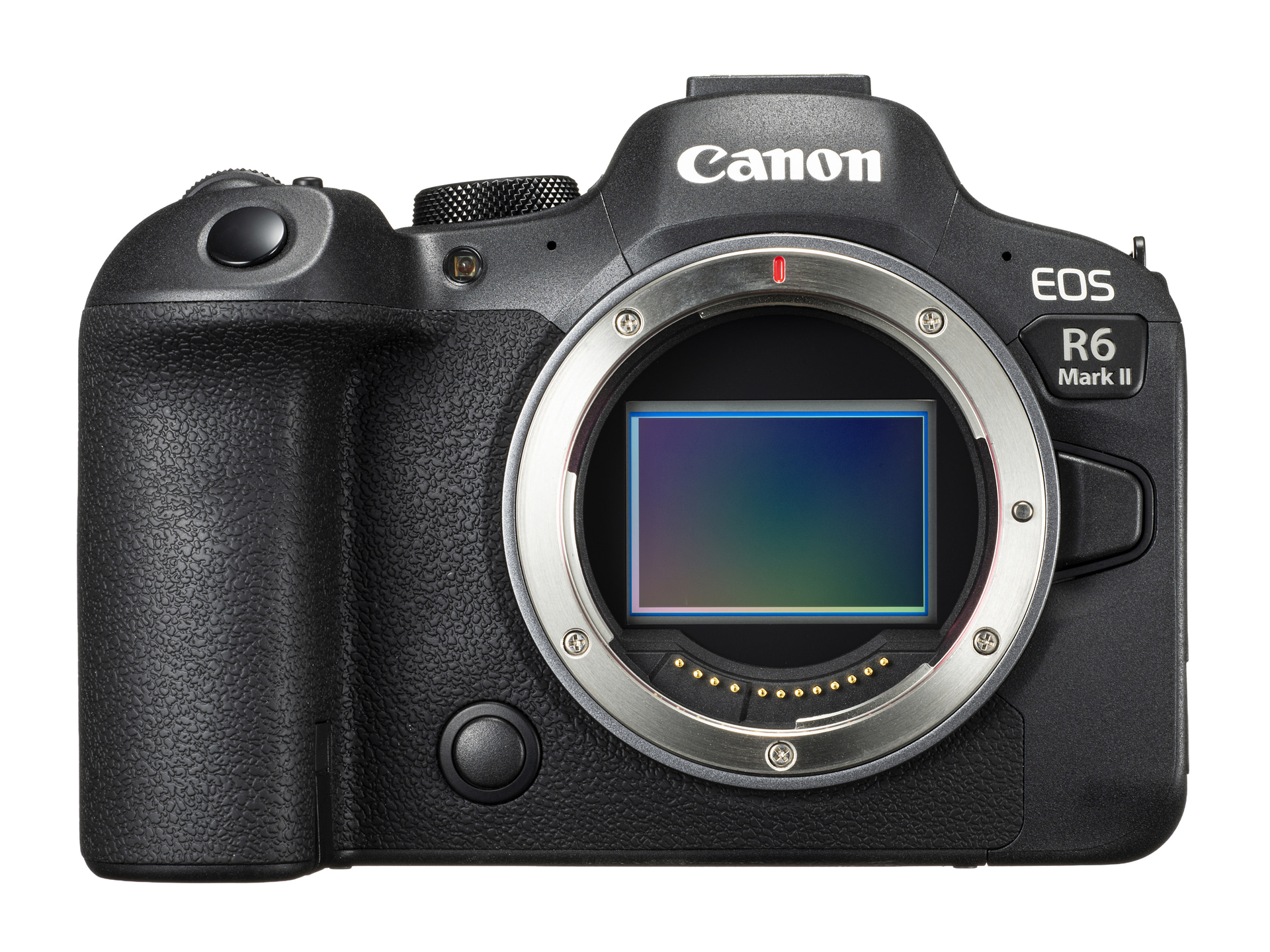 <span class="fnt-110"><b>EOS R6 Mark II</b></span>