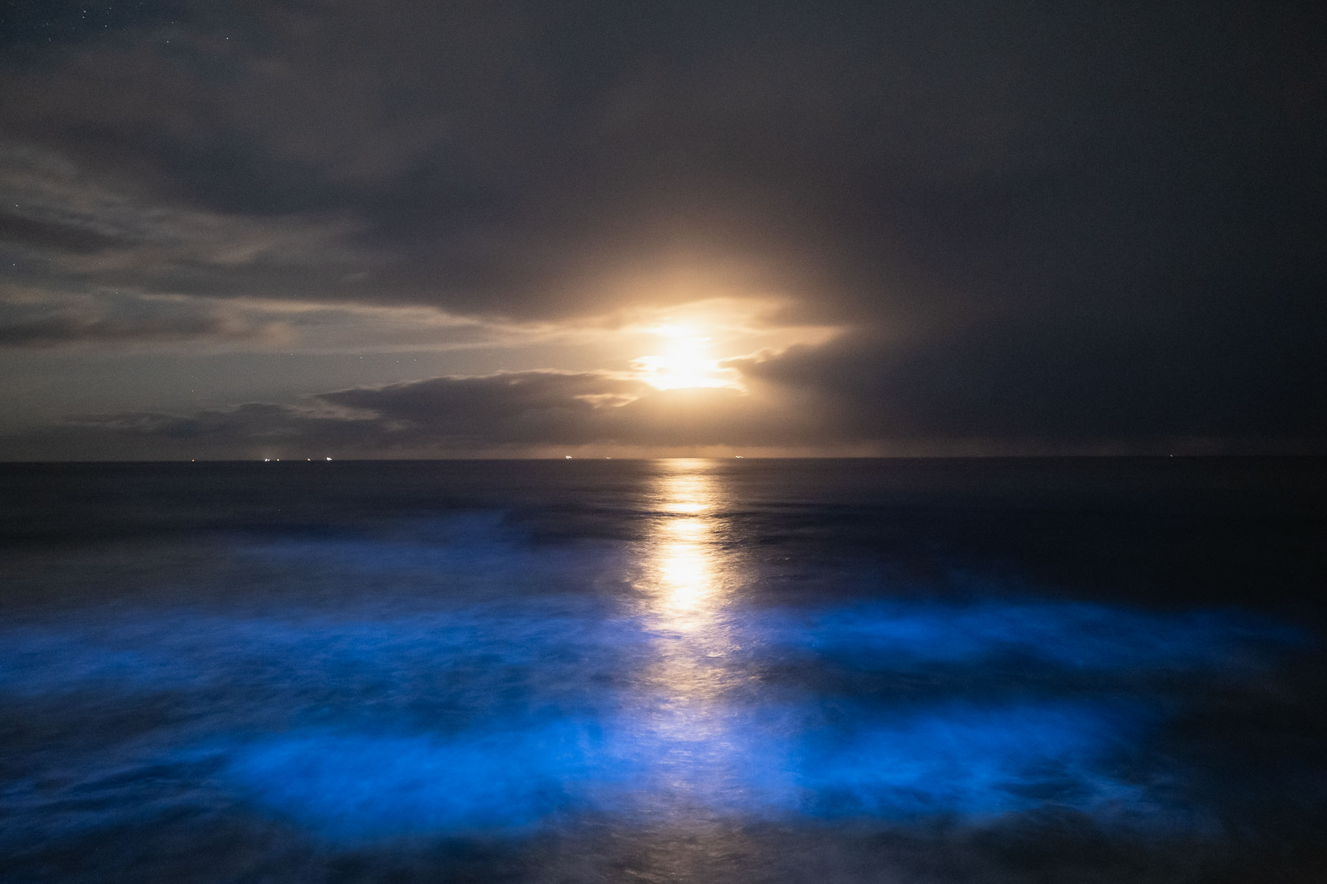 月道と波涛。波が砕け白くなる部分を照明すると、海の動きが表現できる。アクティブな印象の海の風景となった<br>ニコンZ8／NIKKOR Z 24-70mm f/4 S／マニュアル（15秒／F4.0）ISO 1600／WB：晴天