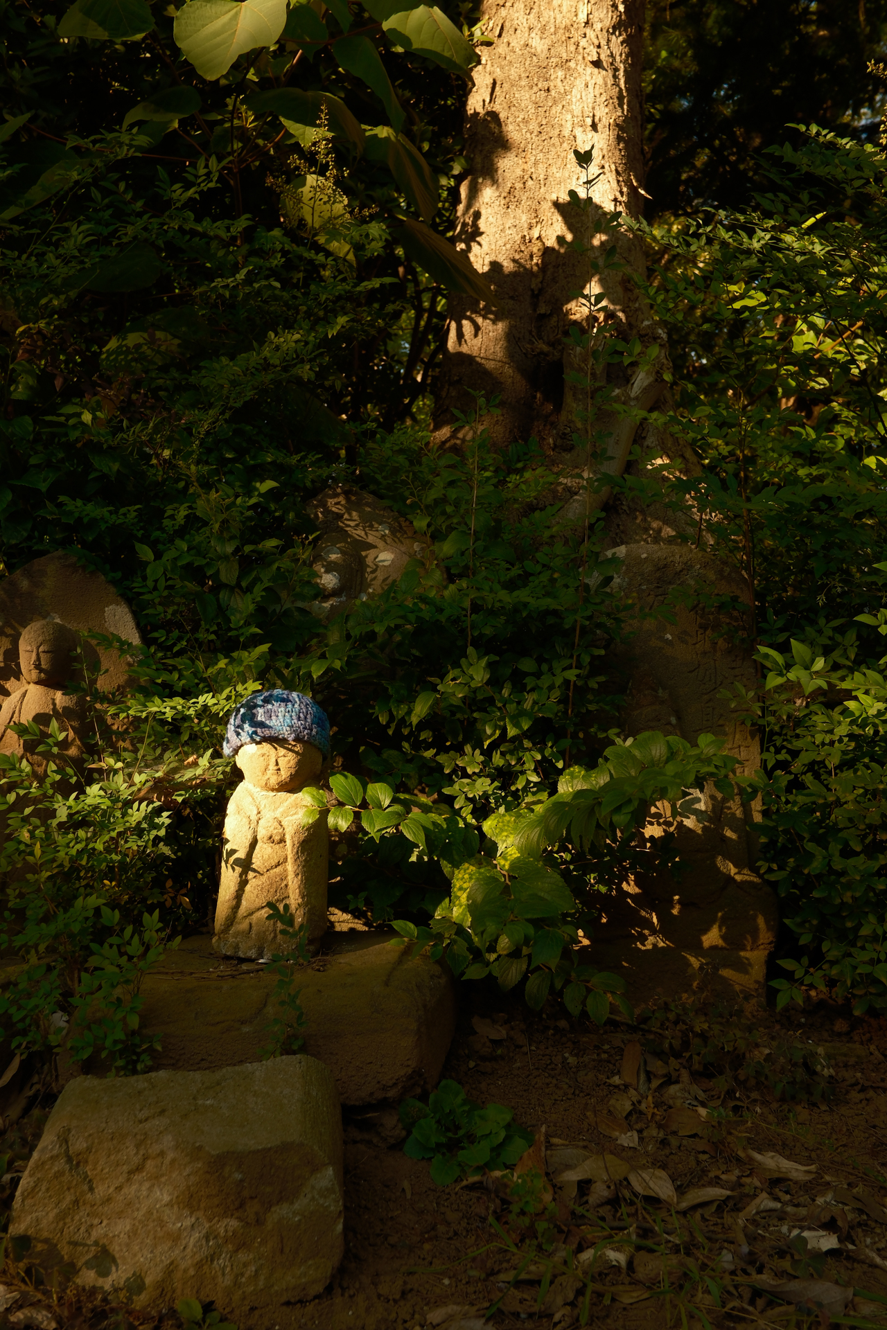 富士フイルム X-H2S／XF18mmF2 R／絞り優先AE（1/160秒、F5.6、−2EV）／ISO 160