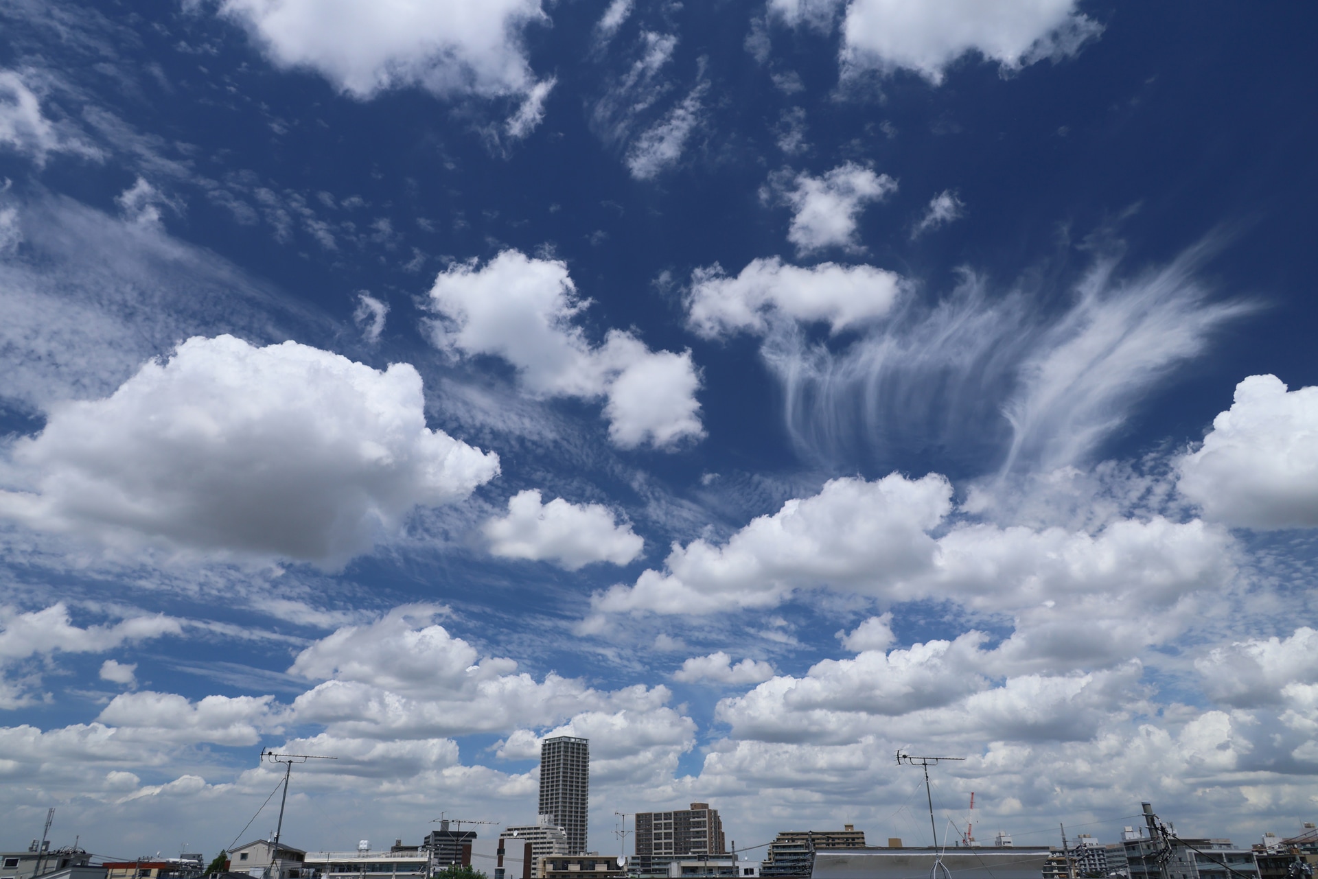 <span class="fnt-85">キヤノン EOS R5 Mark II／RF24-240mm F4-6.3 IS USM／24mm／絞り優先AE（F8、1/1,000秒、±0EV）／ISO 400／WB：太陽光</span>