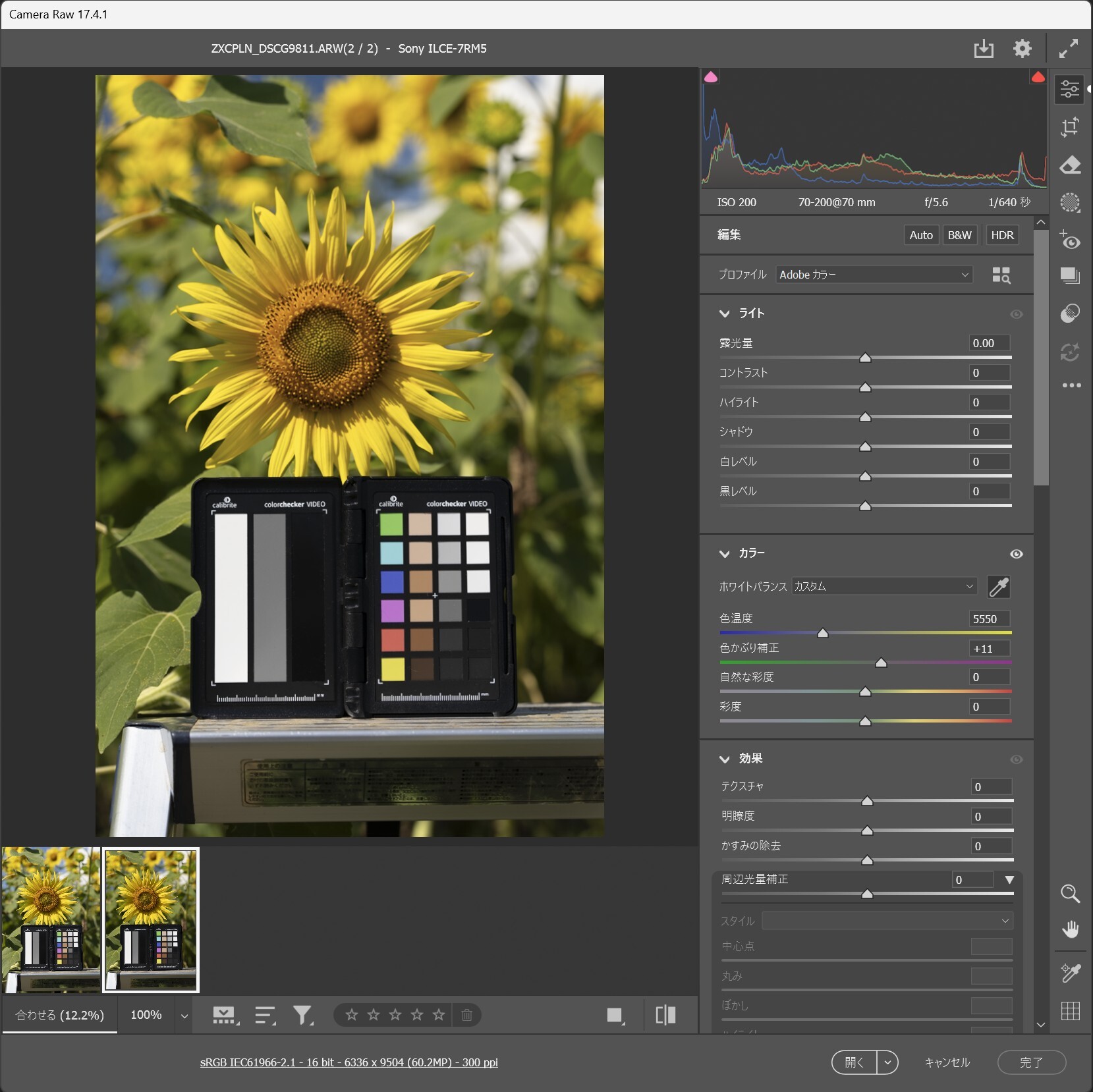 撮影したRAWを「Adobe Camera RAW」で現像した。チャートのグレー部分でカスタムホワイトバランスを調整。色温度の数値を見れば、フィルターの有無による色かぶりの影響がわかるが、非常に色温度の変化が少ない