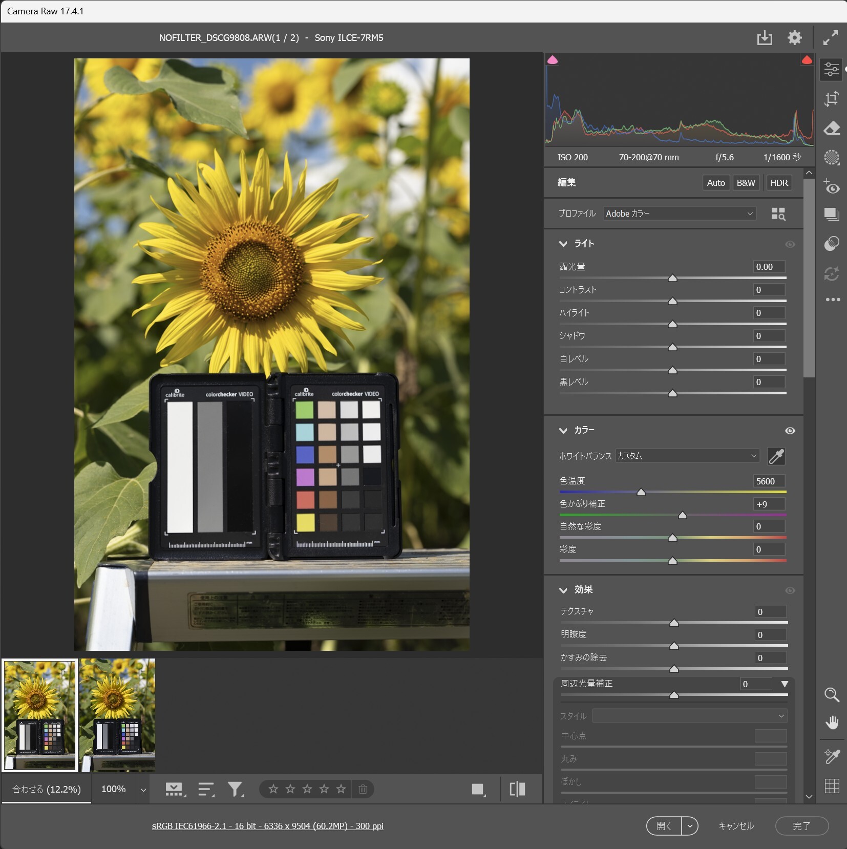 撮影したRAWを「Adobe Camera RAW」で現像した。チャートのグレー部分でカスタムホワイトバランスを調整。色温度の数値を見れば、フィルターの有無による色かぶりの影響がわかるが、非常に色温度の変化が少ない