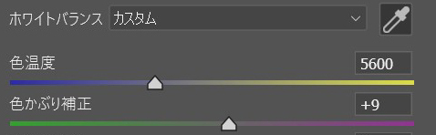 撮影したRAWを「Adobe Camera RAW」で現像した。チャートのグレー部分でカスタムホワイトバランスを調整。色温度の数値を見れば、フィルターの有無による色かぶりの影響がわかるが、非常に色温度の変化が少ない