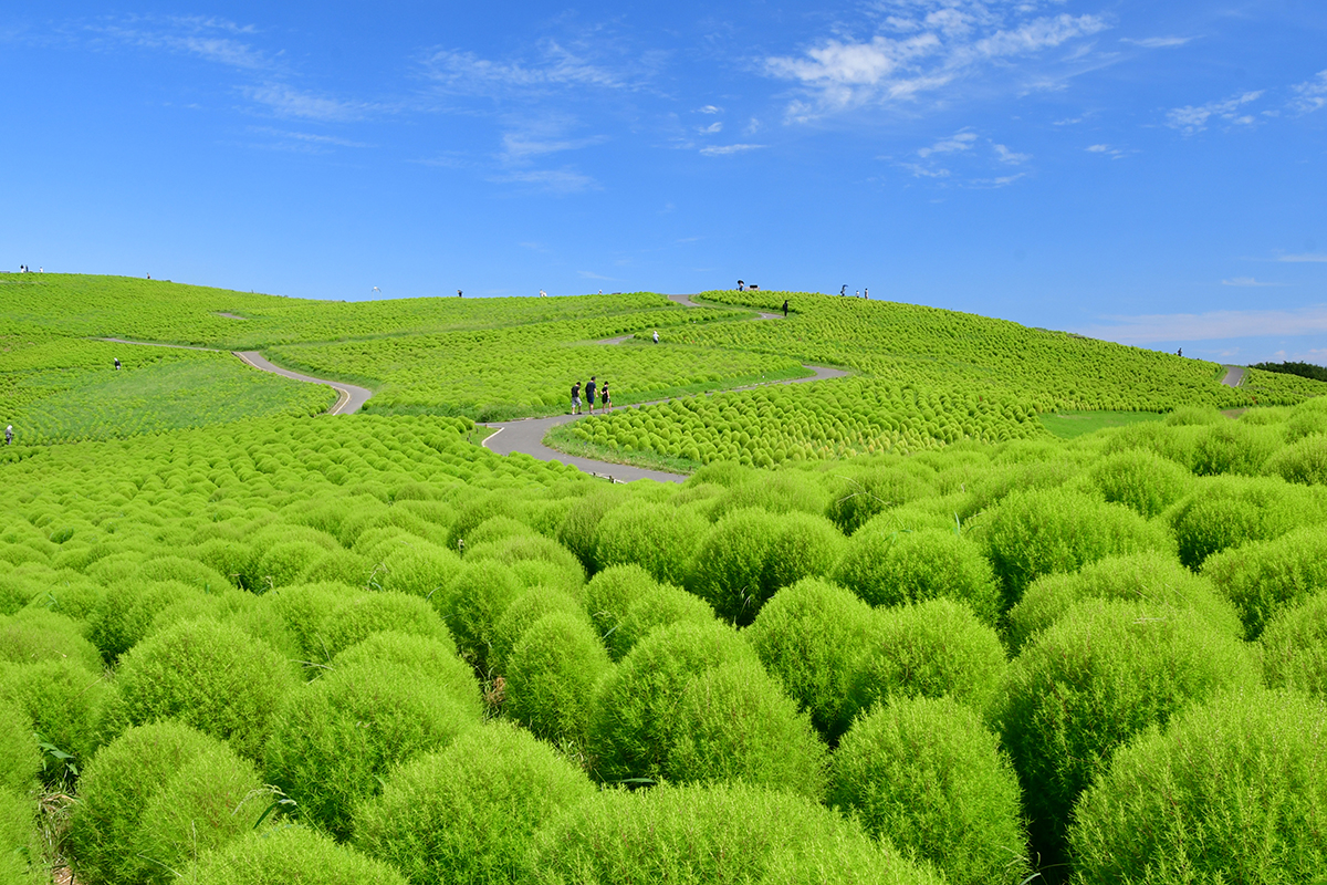 2024年8月26日の様子