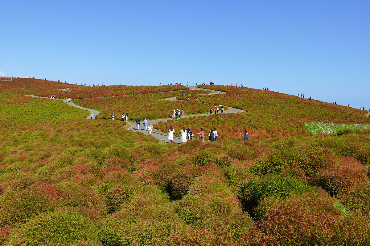 2024年10月11日の様子