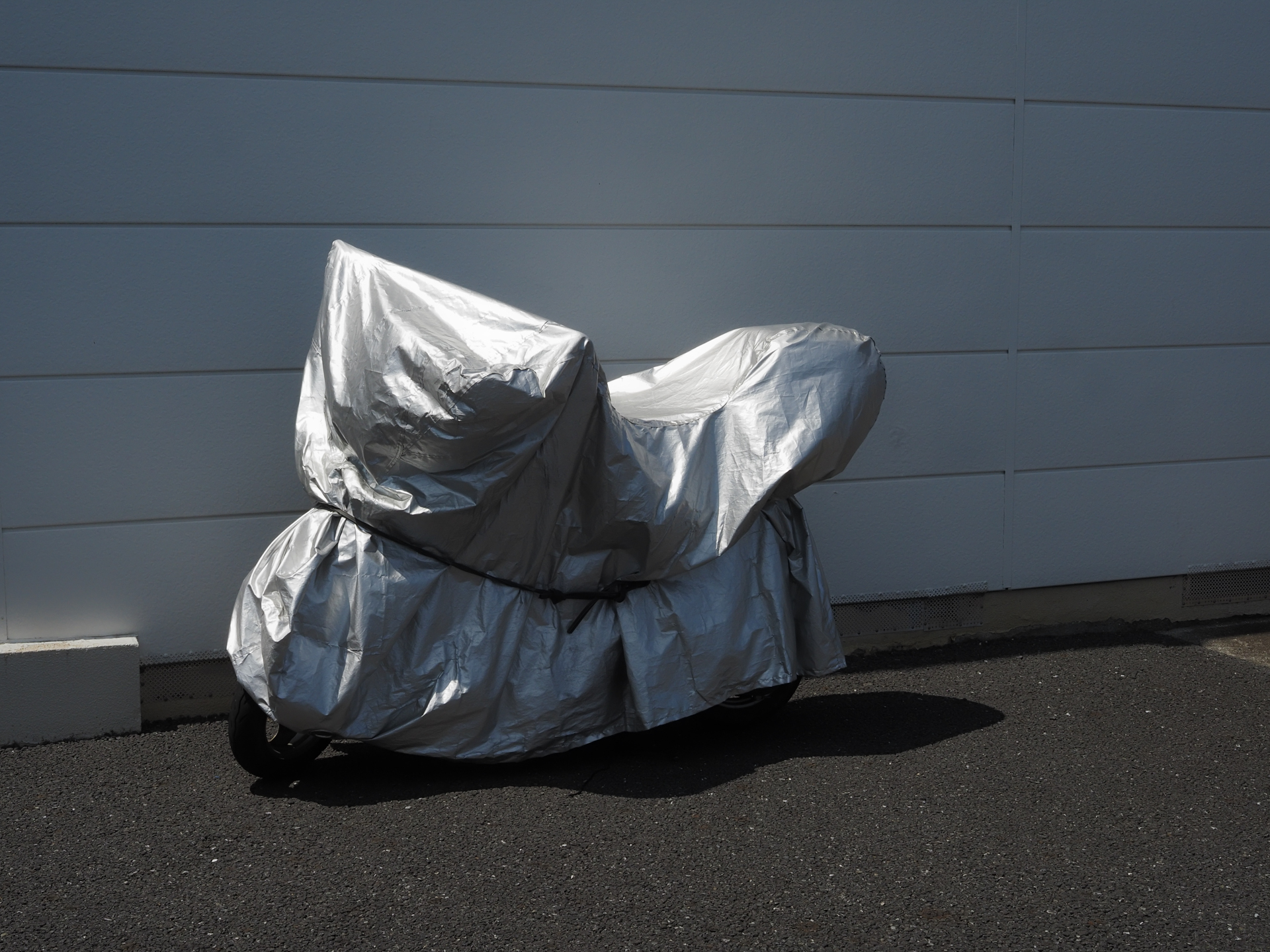 ハイライトもシャドーも生かそうとすると厄介だなあと思って撮影しましたが、デフォルトのままでとてもうまくいってます。<br><span class="fnt-85">OM SYSTEM OM-5 Mark II／M.ZUIKO DIGITAL ED 12-45mm F4.0 PRO／25mm（50mm相当）／プログラムAE（1/1,000秒、F11、−0.7EV）／ISO 400</span>