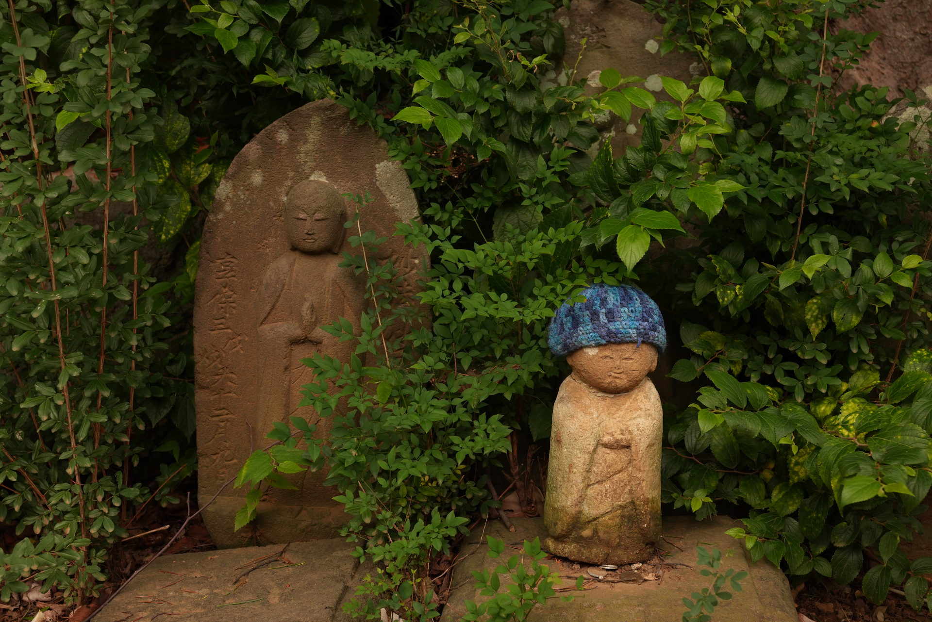 ソニー RX1R III／絞り優先AE（1/125秒、F5.6）／ISO 200