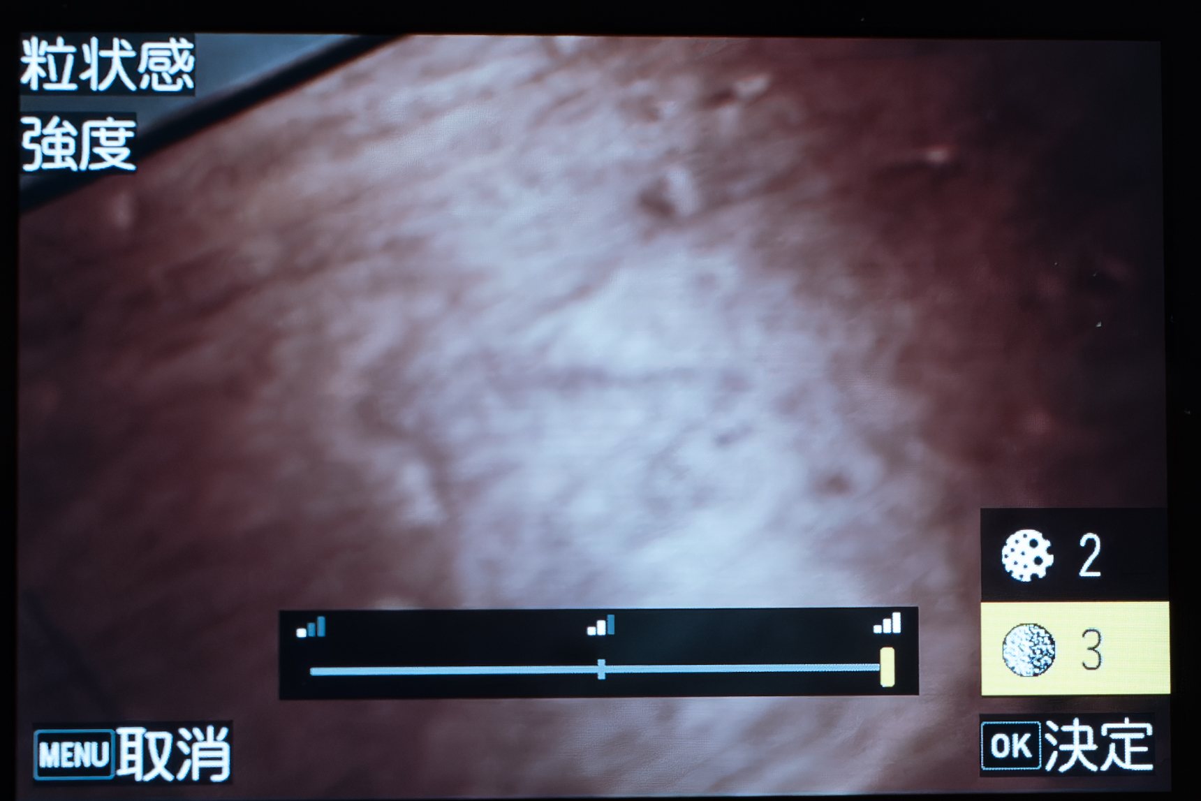 粒状感の詳細設定が可能に