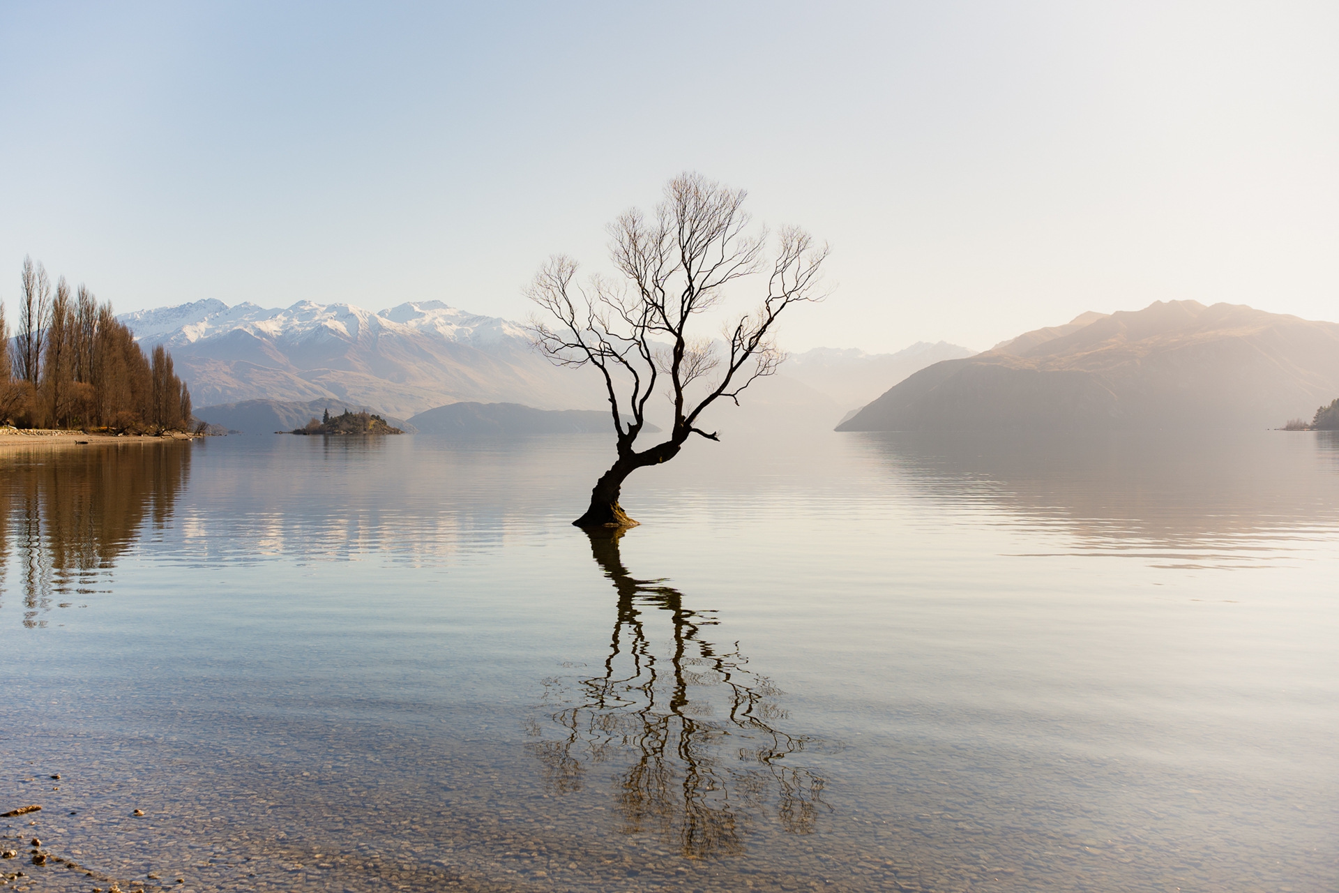 作例提供：株式会社焦点工房