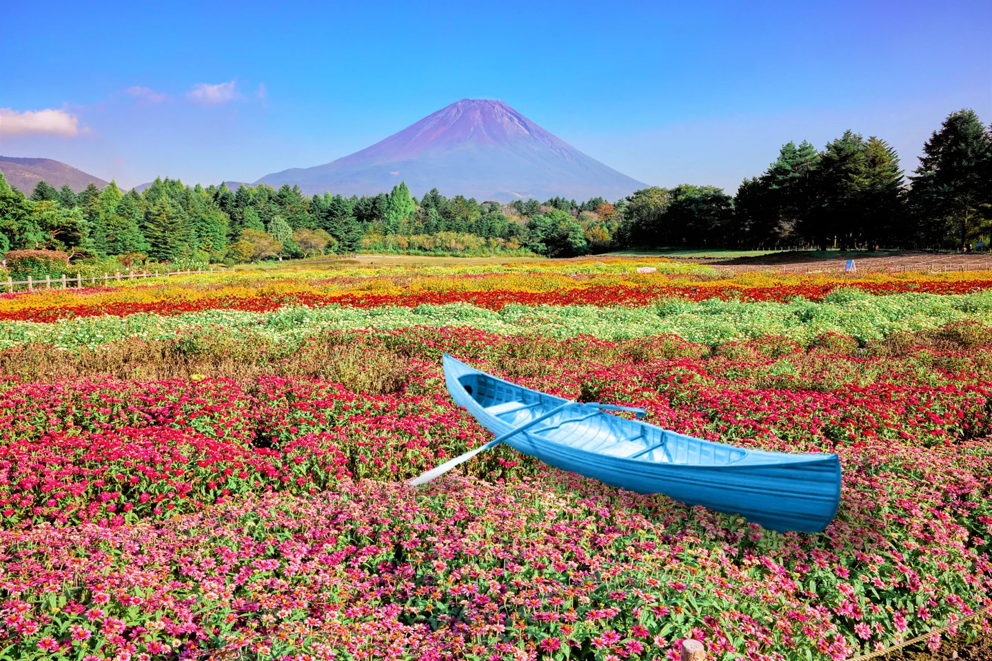 虹色の海を旅する小舟