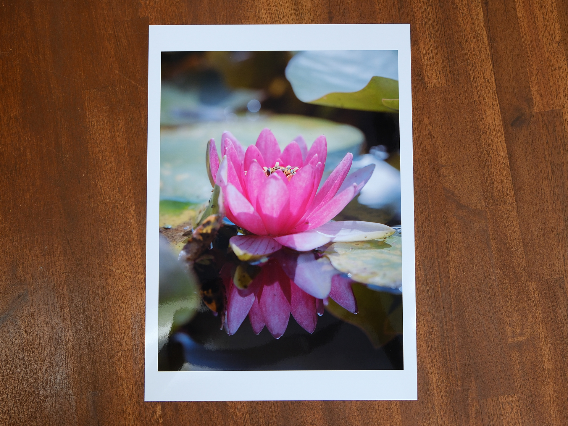 ゆうさんの作品