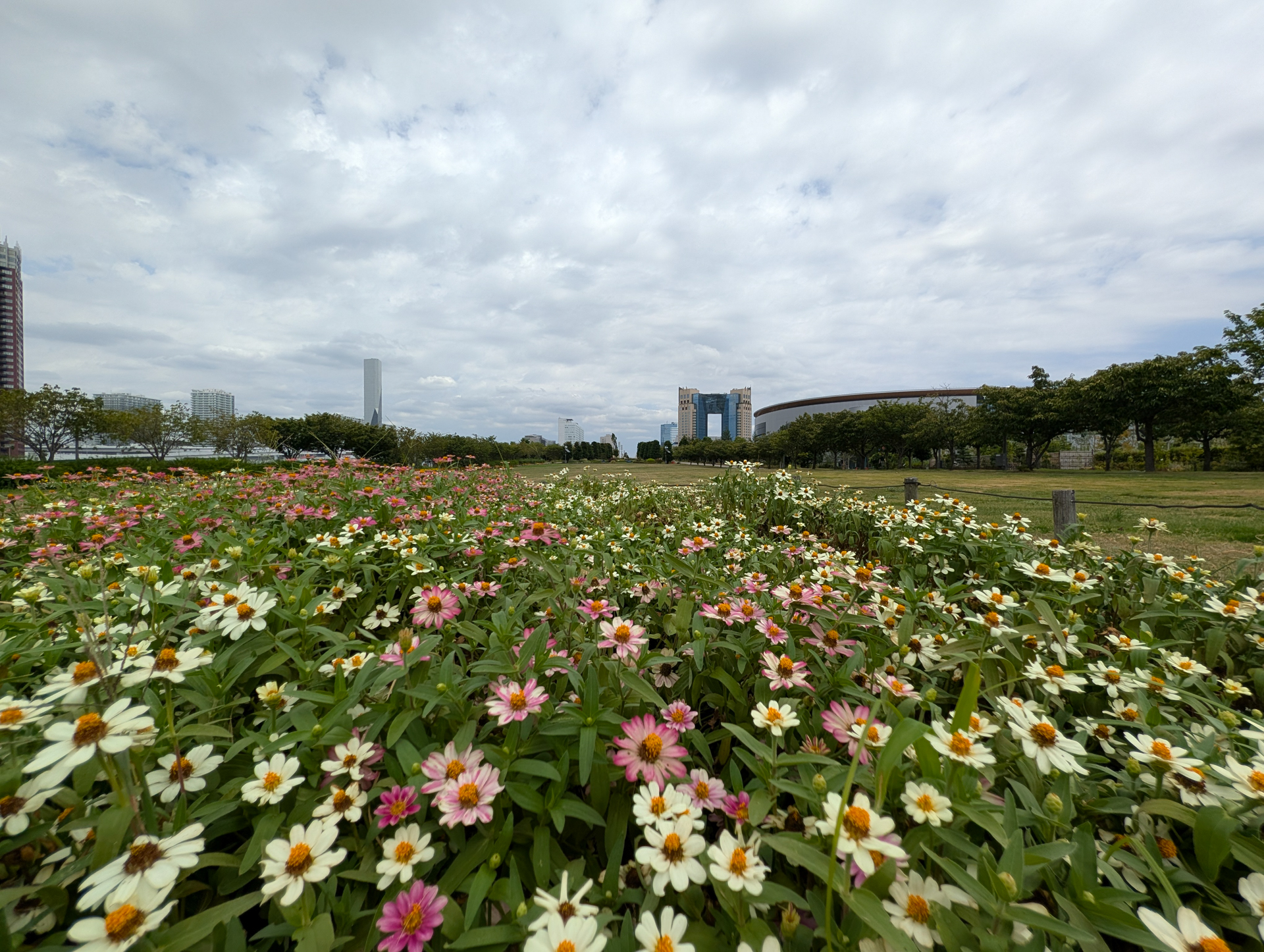 超広角カメラで撮影<br><span class="fnt-85">Pixel 10 Pro／2.02mm（12mm相当）／1/1,000秒／F1.7／ISO 23</span>