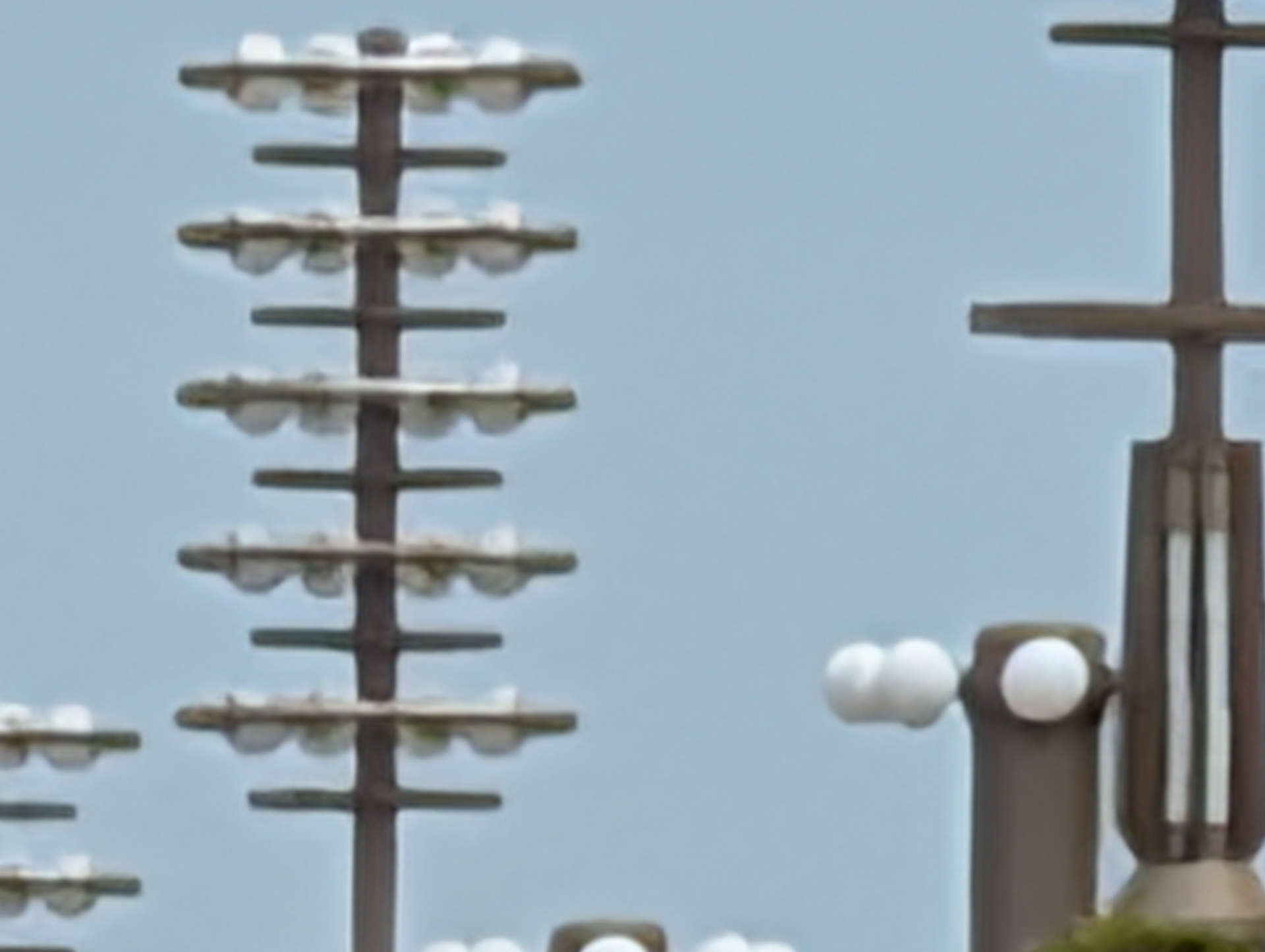 実際の画像。こちらはオリジナル<br><span class="fnt-85">Pixel 10 Pro／17.906mm（2,400mm相当）※デジタルズーム／1/800秒／F2.8／ISO 44</span>