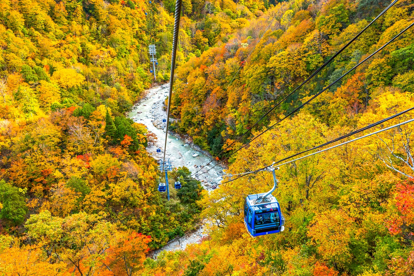 苗場ドラゴンドラ