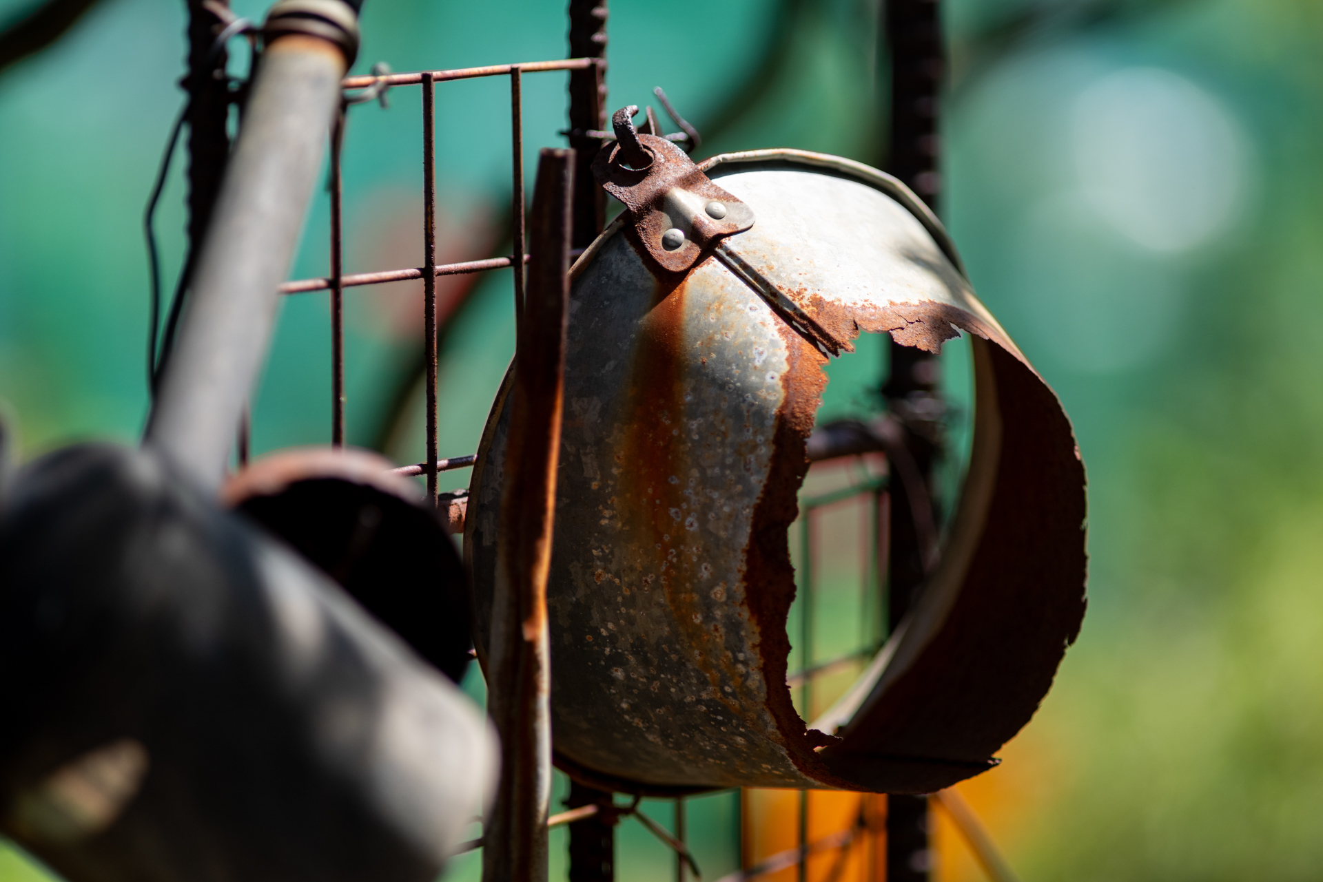 バケツの底が抜けた状況。な、わけですが、なんだかユーモラスであります。明暗差が大きいのに階調の繋ぎ方が見事で驚いてしまいました。<span class="fnt-85">PENTAX K-1 Mark II／smc PENTAX FA☆200mm F2.8 ED [IF]／200mm／絞り優先AE（1/1,600秒、F3.5、−1EV）／ISO 400</span>