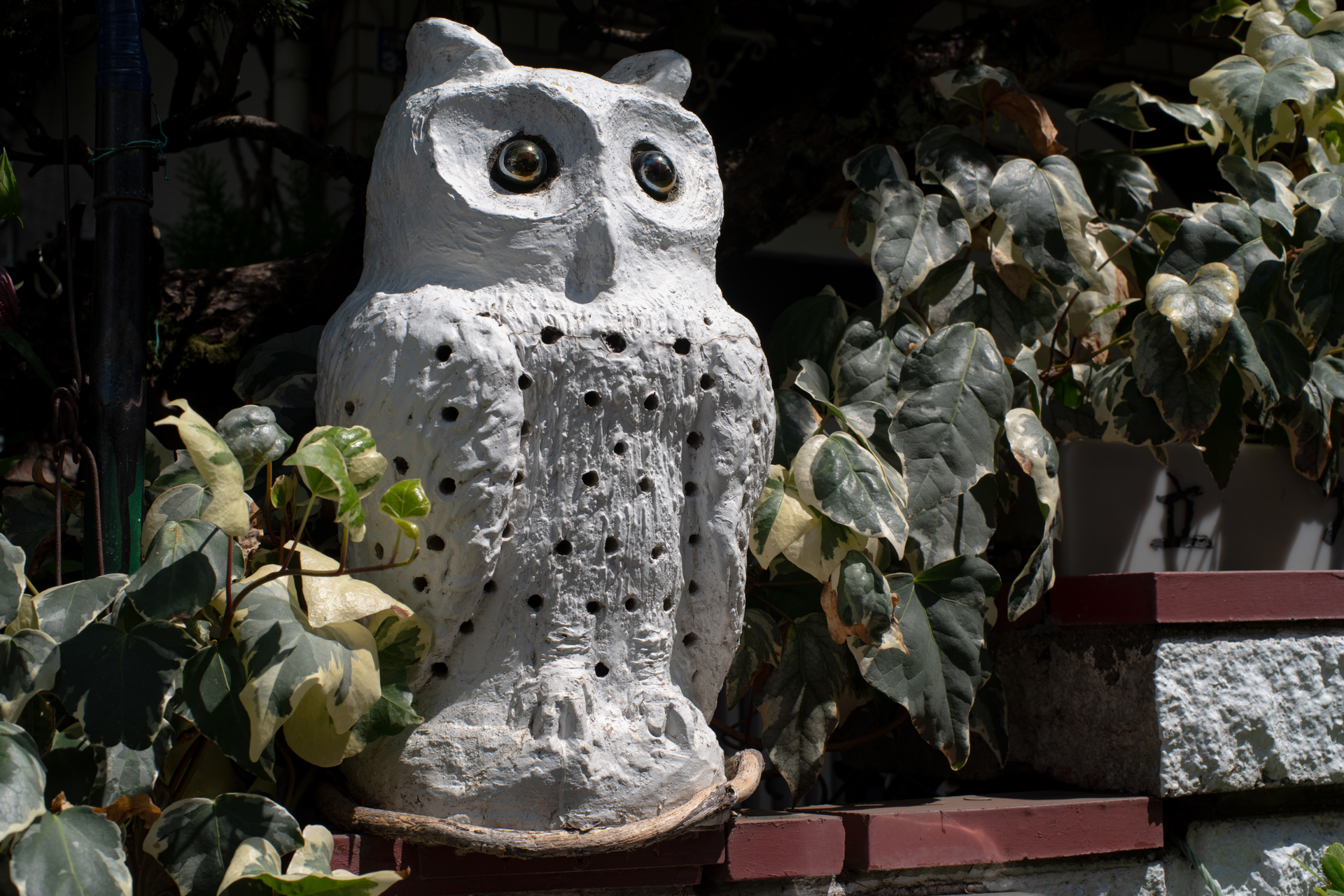 絞り込むとコントラストが高くなり、すばらしくシャープな描写になります。絞り設定で描写力が変わるレンズは面白いですね。<span class="fnt-85">PENTAX K-1 Mark II／smc PENTAX F 50mm F1.4／50mm／シャッター優先AE（1/200秒、F10、−0.7EV）／ISO 100</span>