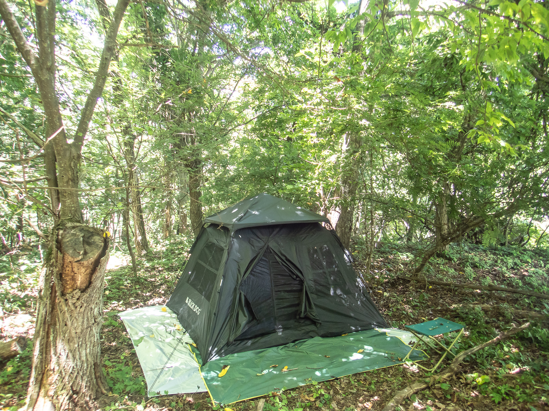 遮光・遮熱であっても、暑い時期は木陰に設営がおすすめ