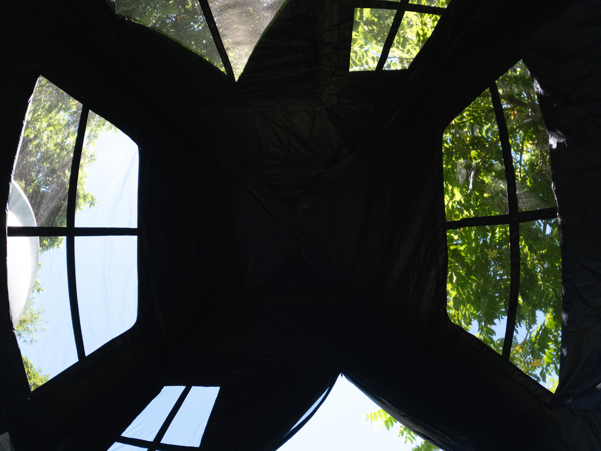 開口部を全て開けて、床面から上を見る。開放感がありつつ黒いフレームが視界を区切ることが心地いい