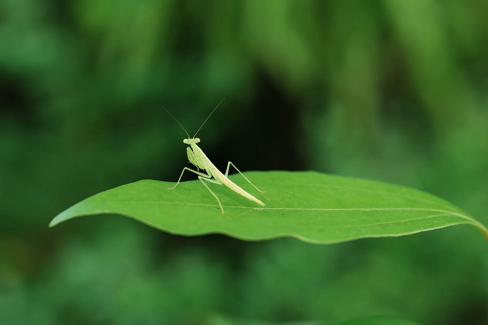 作例提供：映像嵐株式会社