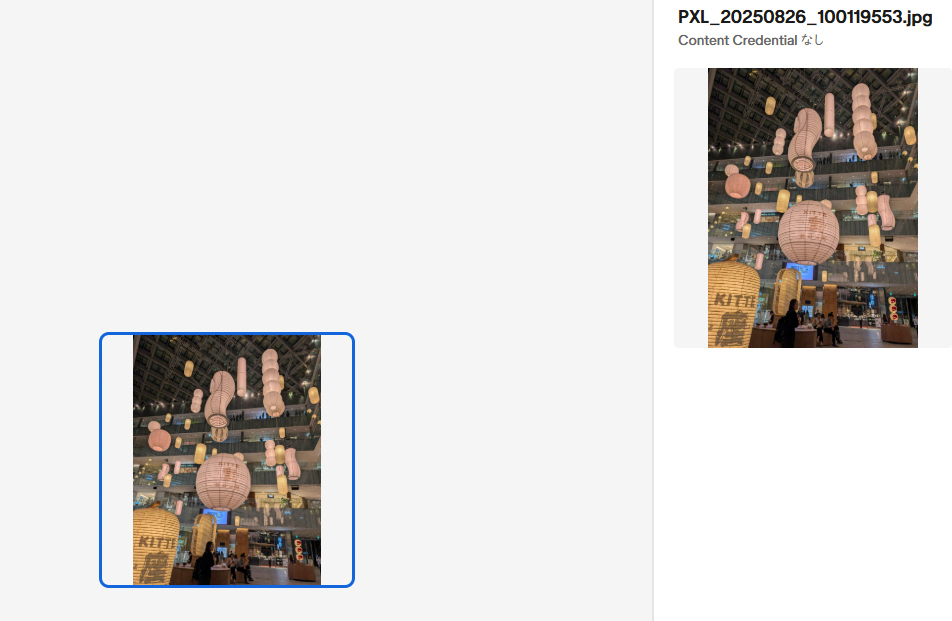 これはPixel 9 Proの画像。そもそもコンテンツ認証情報は存在しない