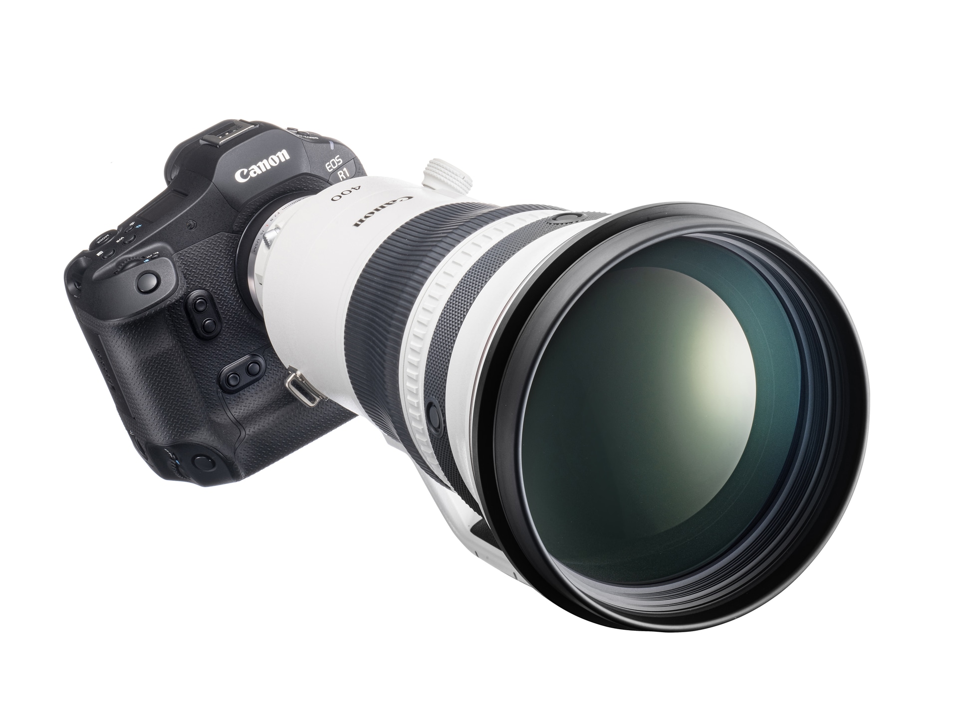 <span class="fnt-110"><b>EOS R1</b></span>