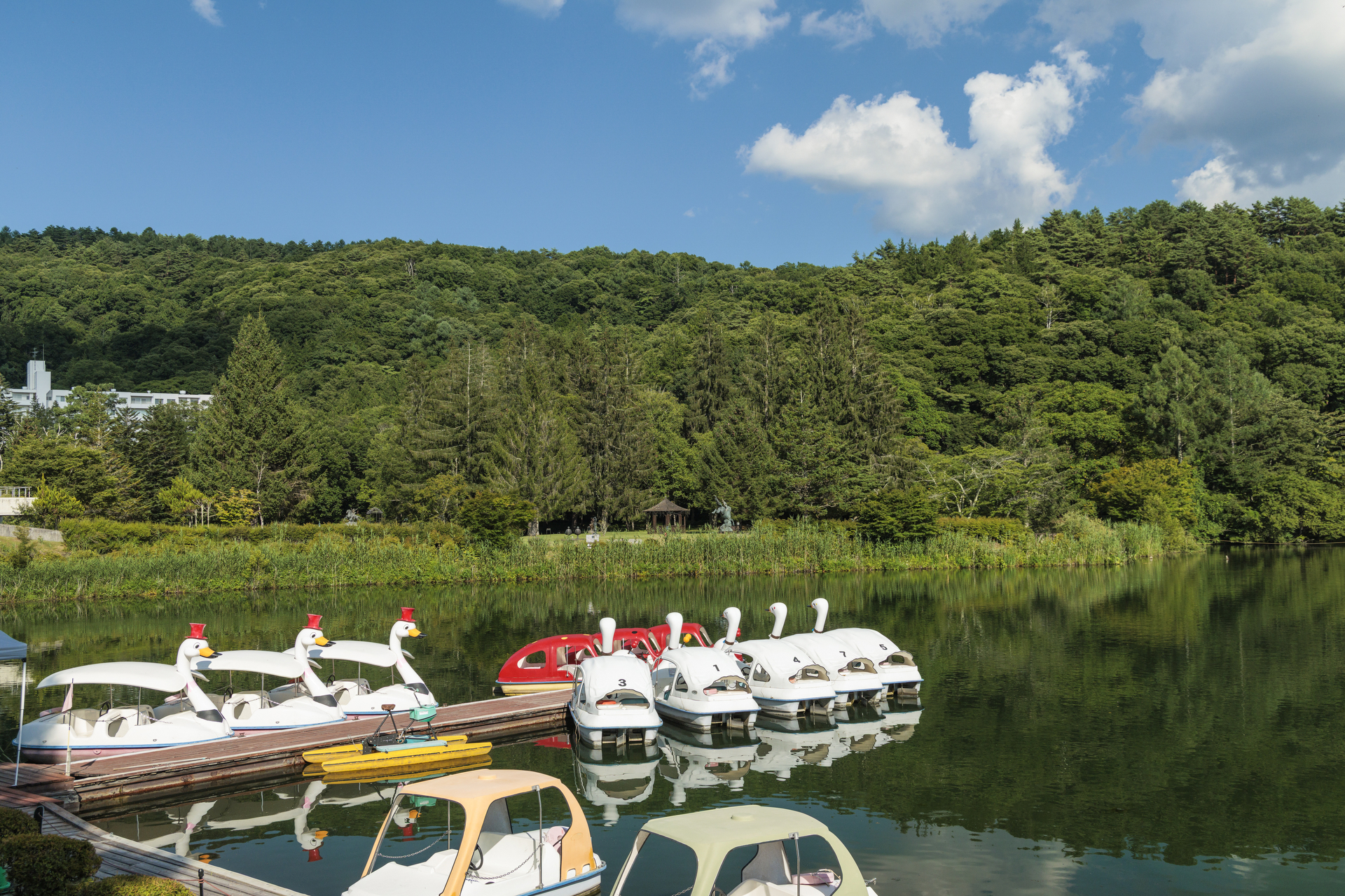 隣接する蓼科湖