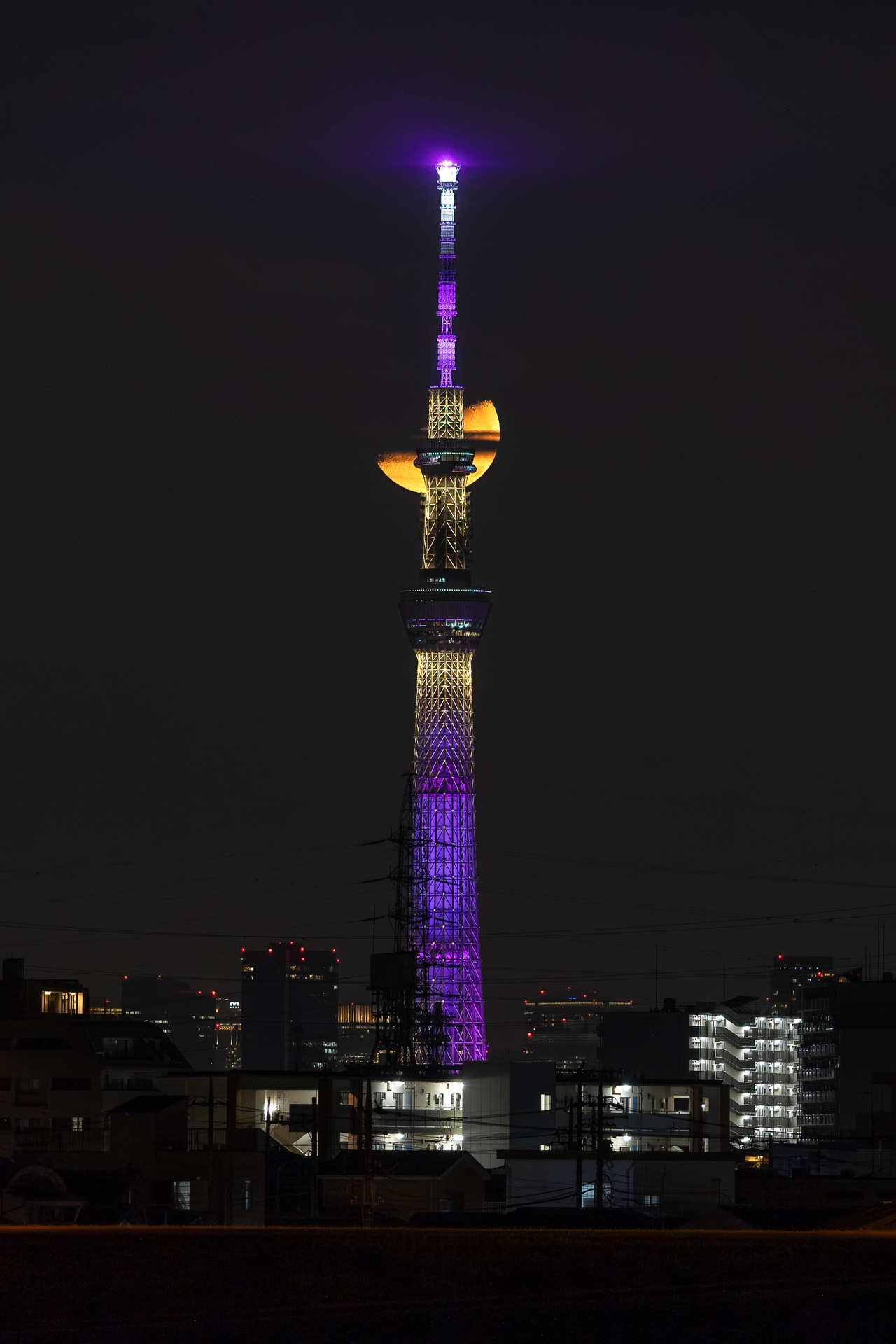 <b>［設定：ノイズリダクション ＋2／レンズオプティマイザ ＋2］</b><br><span class="fnt-85">キヤノン EOS R6／RF100-400mm F5.6-8 IS USM／270mm／マニュアル露出（F8、1/6秒）／ISO 1000／WB：オート</span>