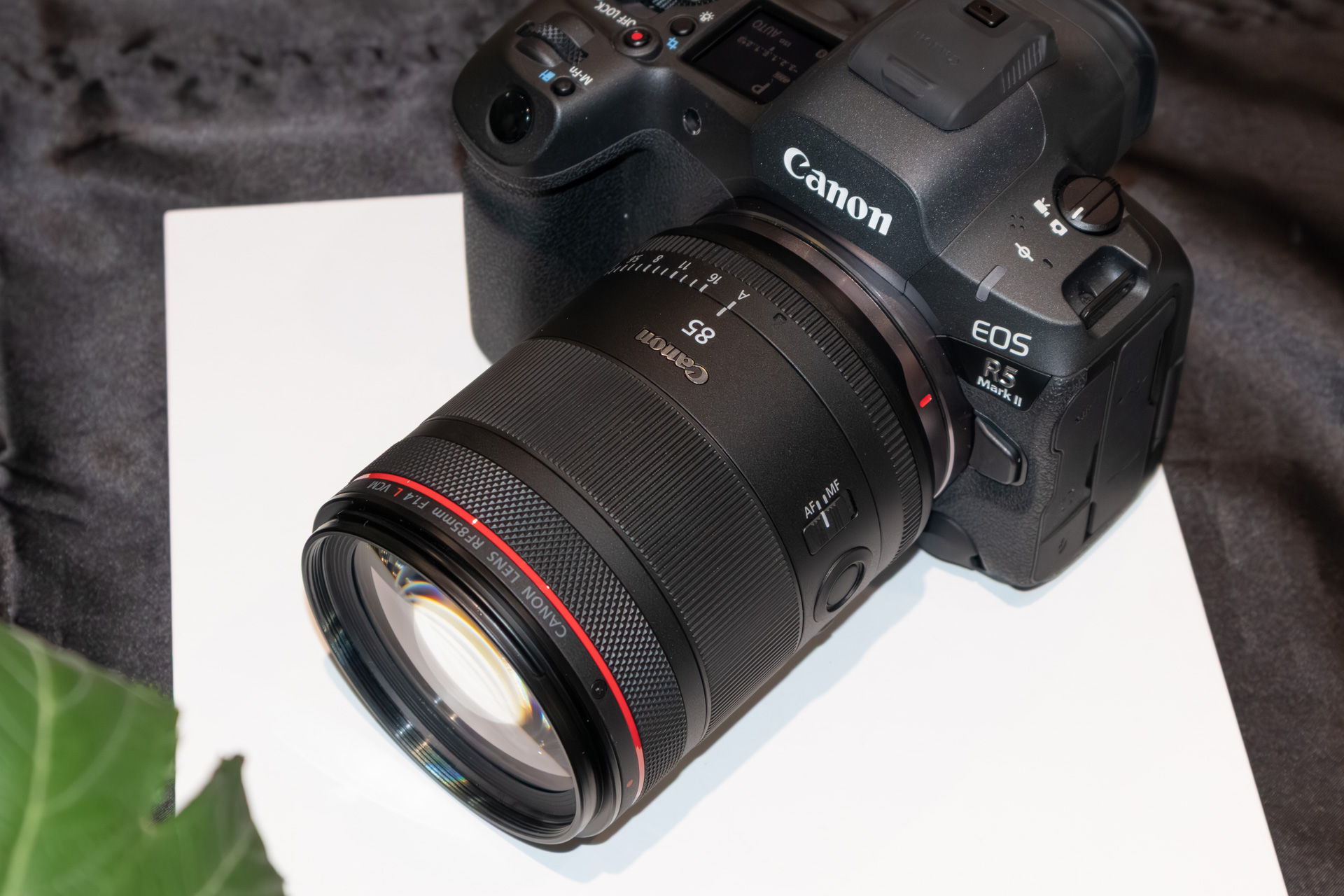 EOS R5 Mark IIに装着したところ